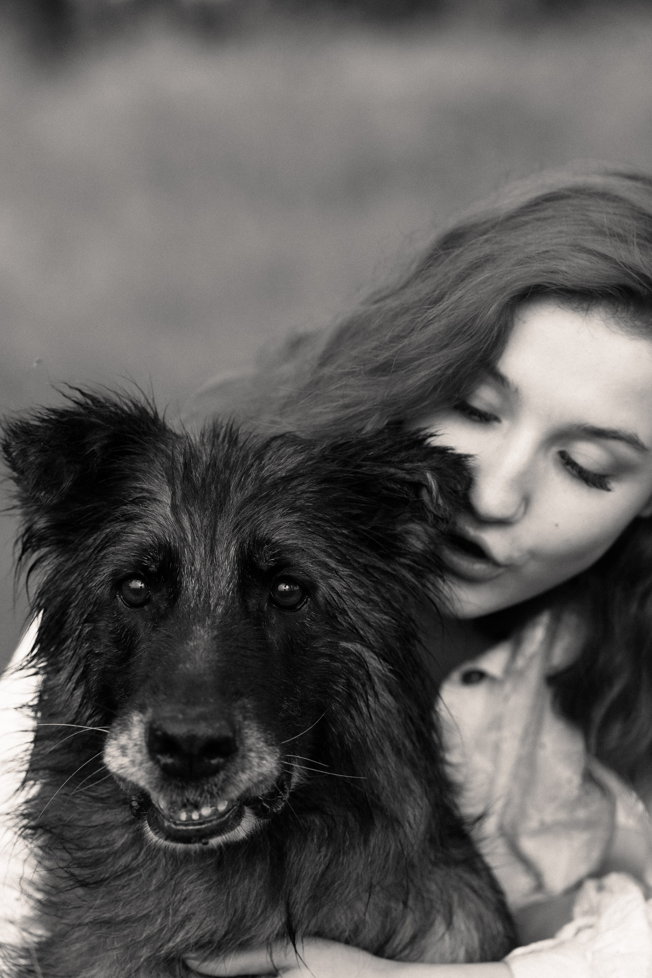 Алена, Фанни и Фрея. Фотограф и видеограф анималист Аганина Дарья