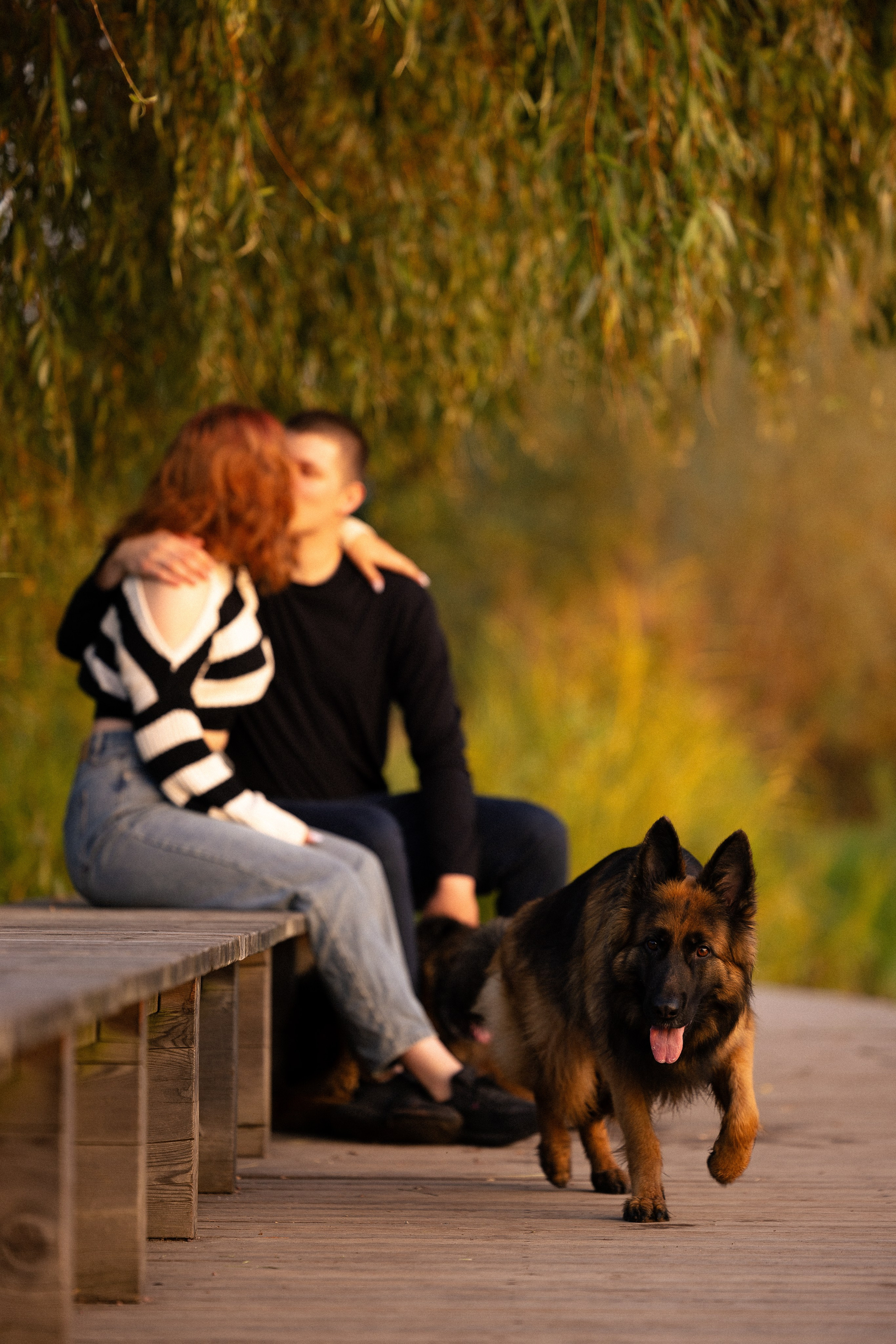 Алена, Матвей, Фанни и Фрея. Фотограф и видеограф анималист Аганина Дарья