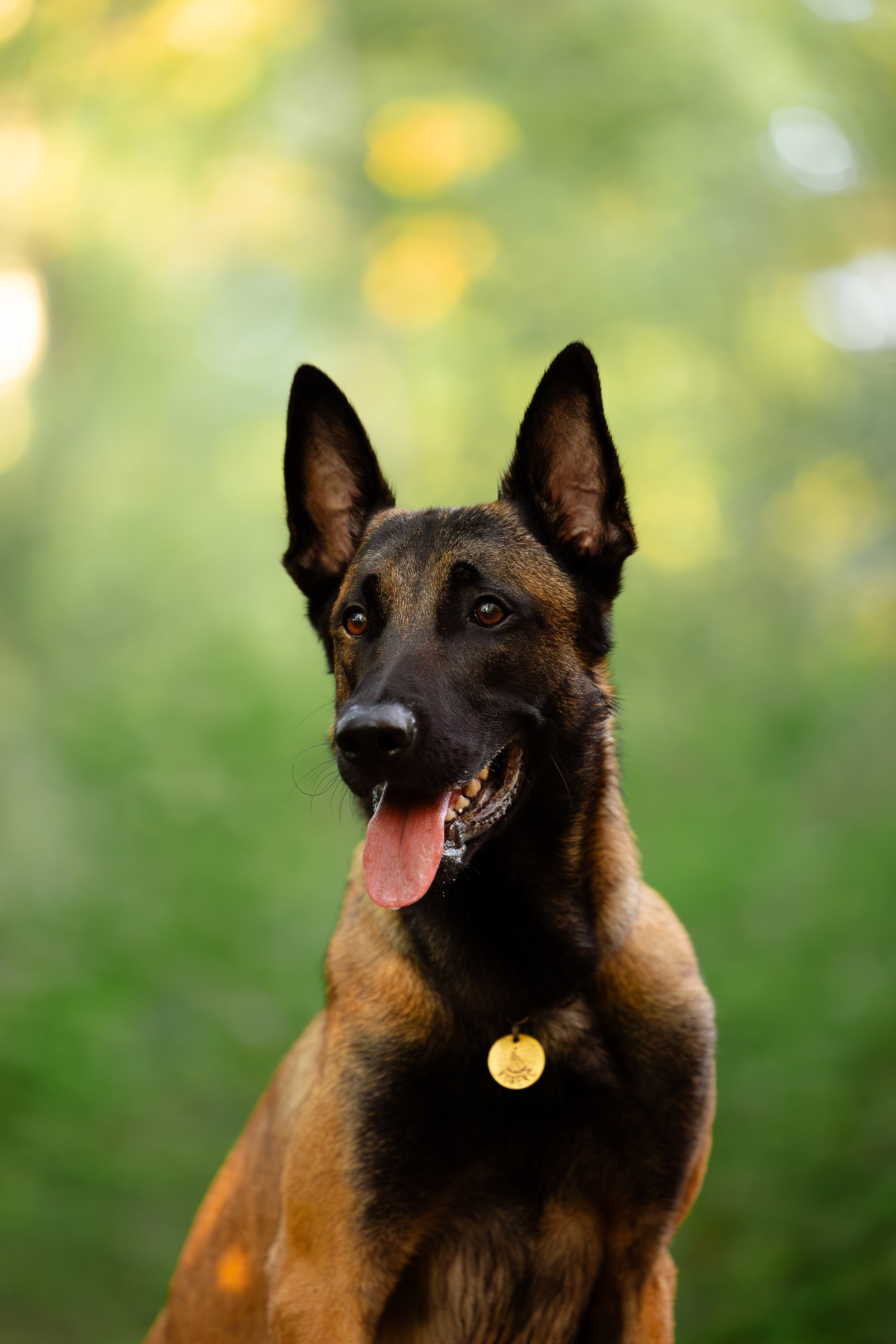 Галина и Кодекс. Фотограф и видеограф анималист Аганина Дарья