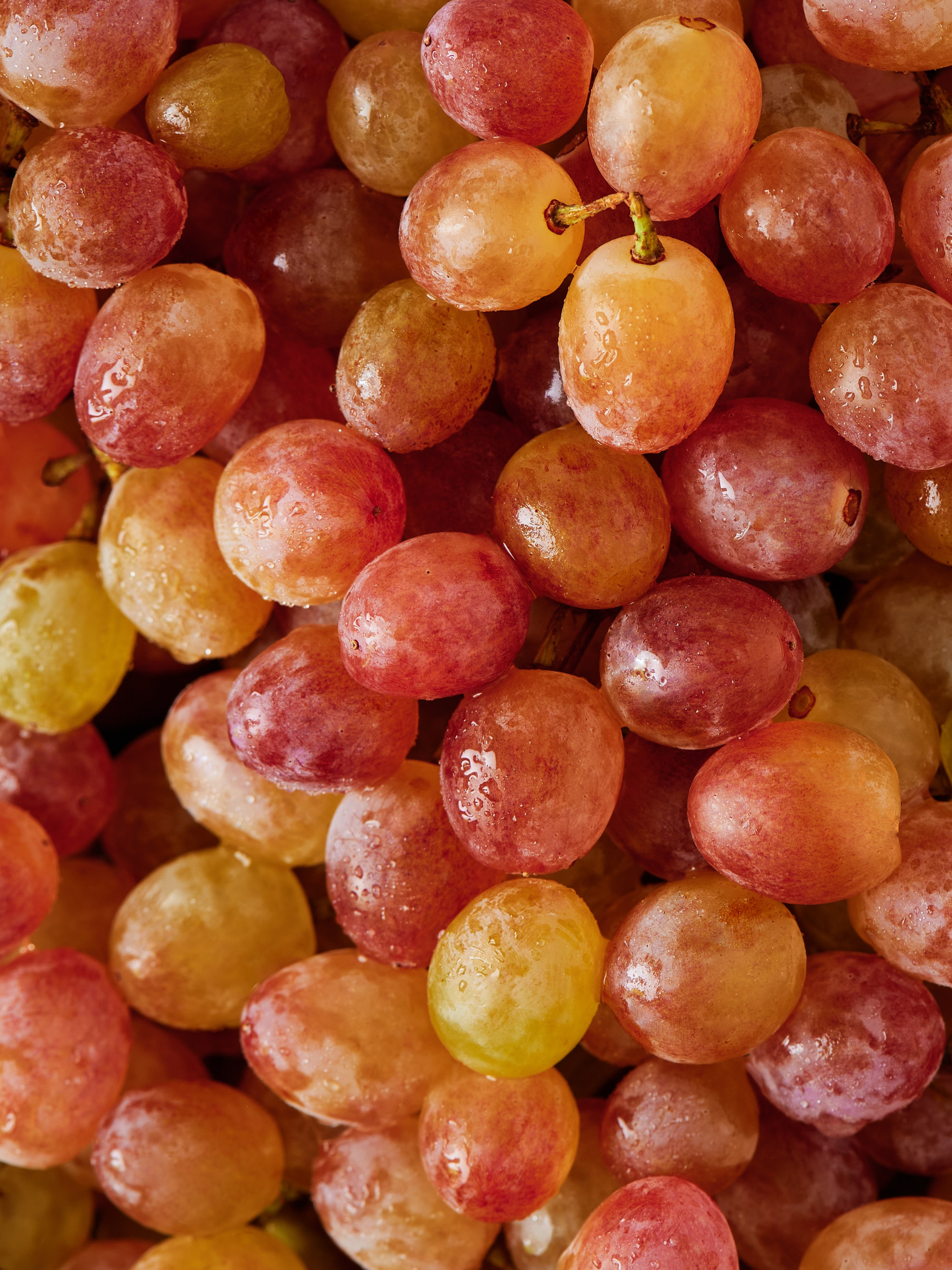 FOOD & PRODUCT. CONTENT MAKER ШМАКОВ ВЛАДИМИР