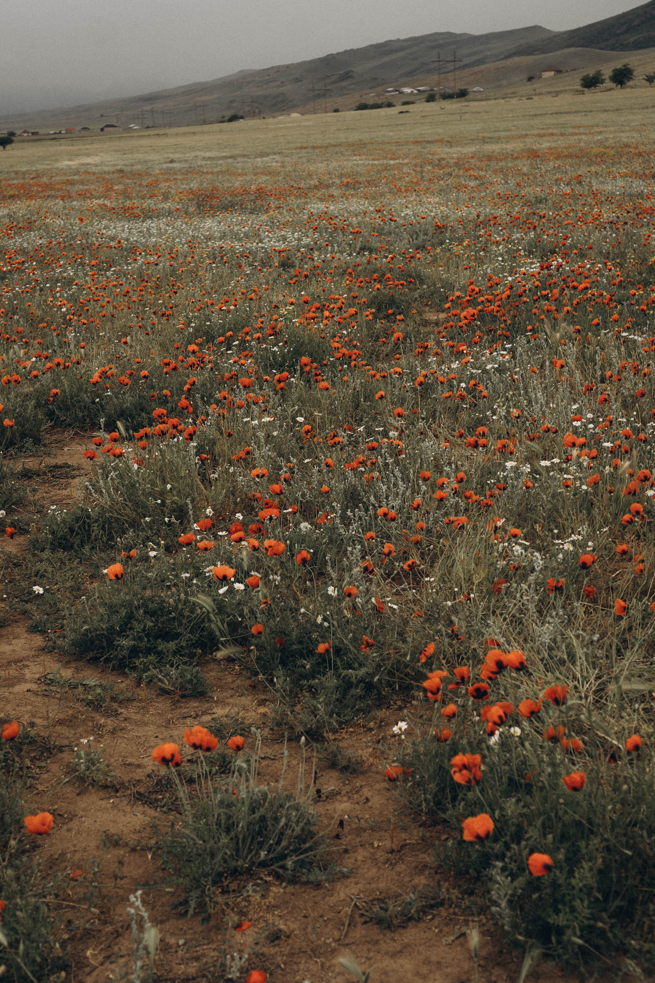 Путешествие в Дагестане. Профессиональный фотограф, Санкт-Петербург — Виктория Богомолова