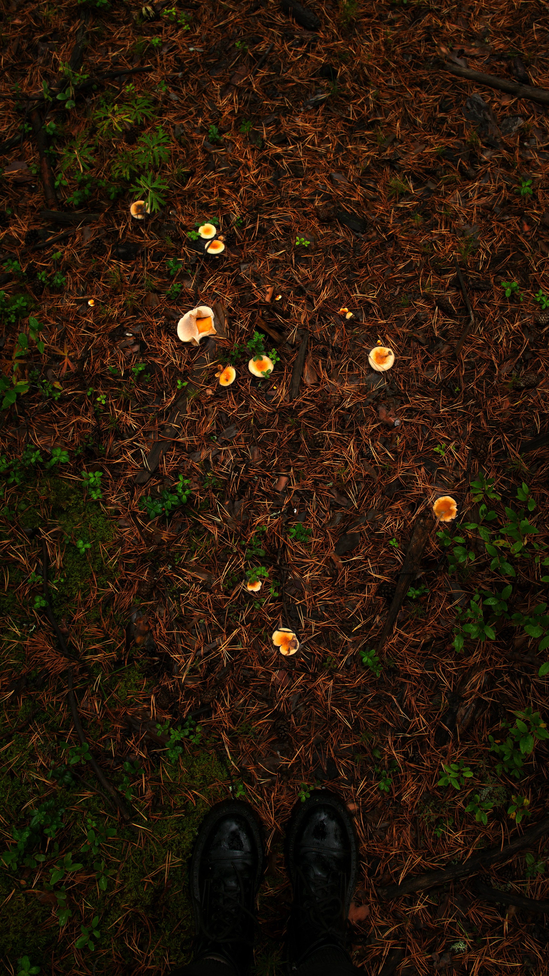 Ну вот как эту красоту не показать? А точнее, как о ней рассказать, если не показать?. Предметный фотограф и ретушер Улан-Удэ Алла Белова