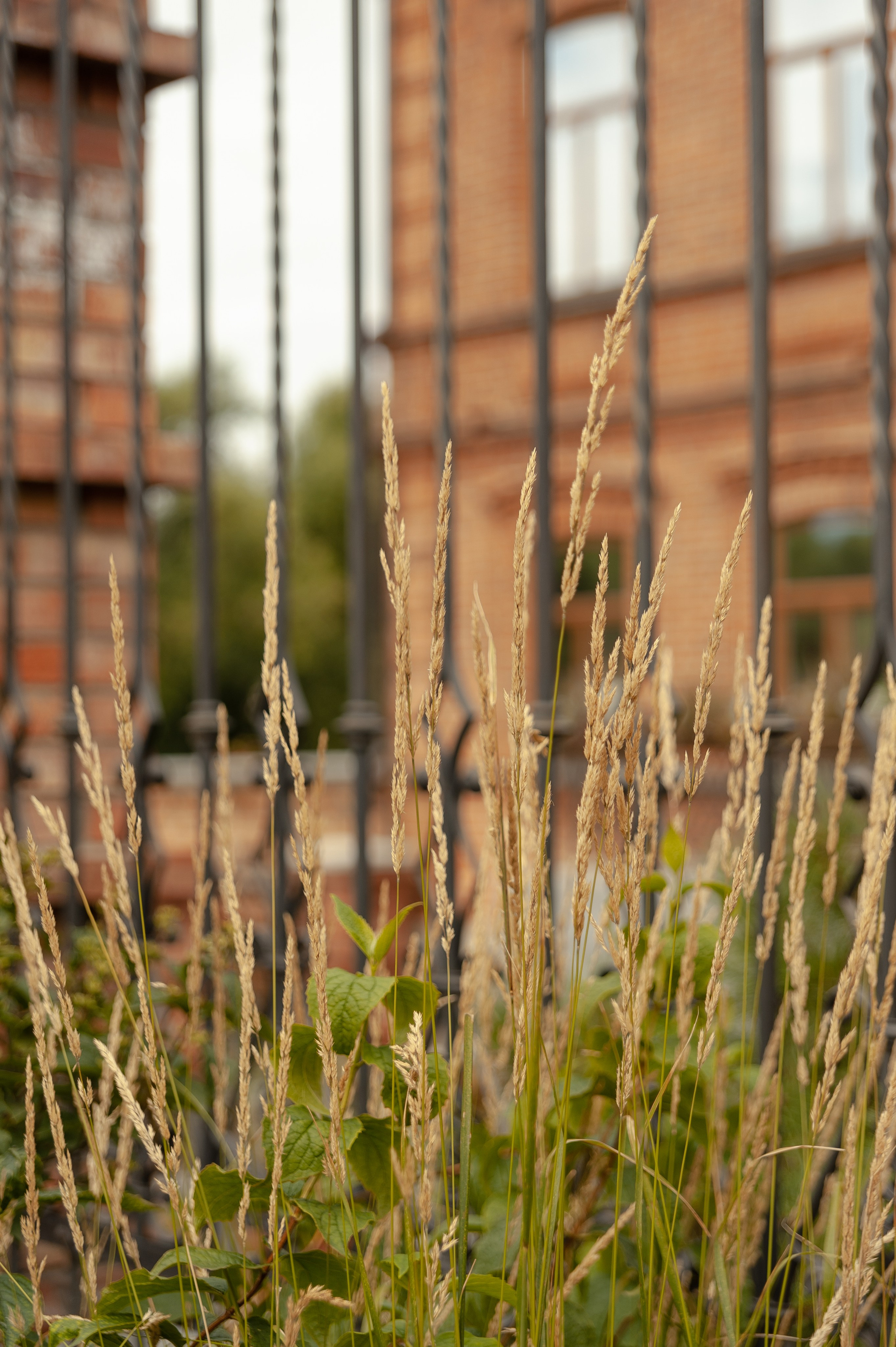 Максим и Геля. Фотограф в Екатеринбурге Артём Зайнетдинов