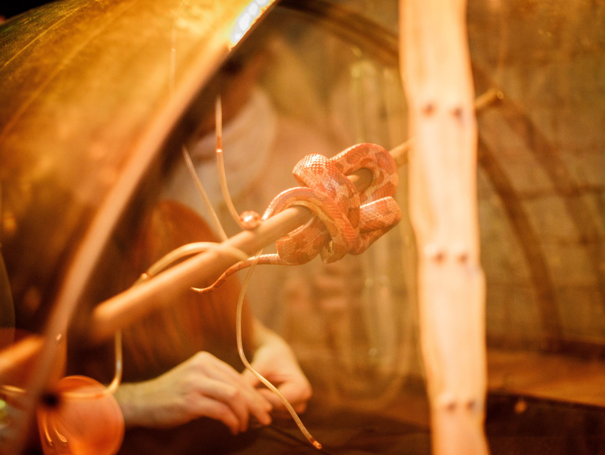 Форт Боярд. Репортажный фотограф в Новосибирске Алена Помазунова