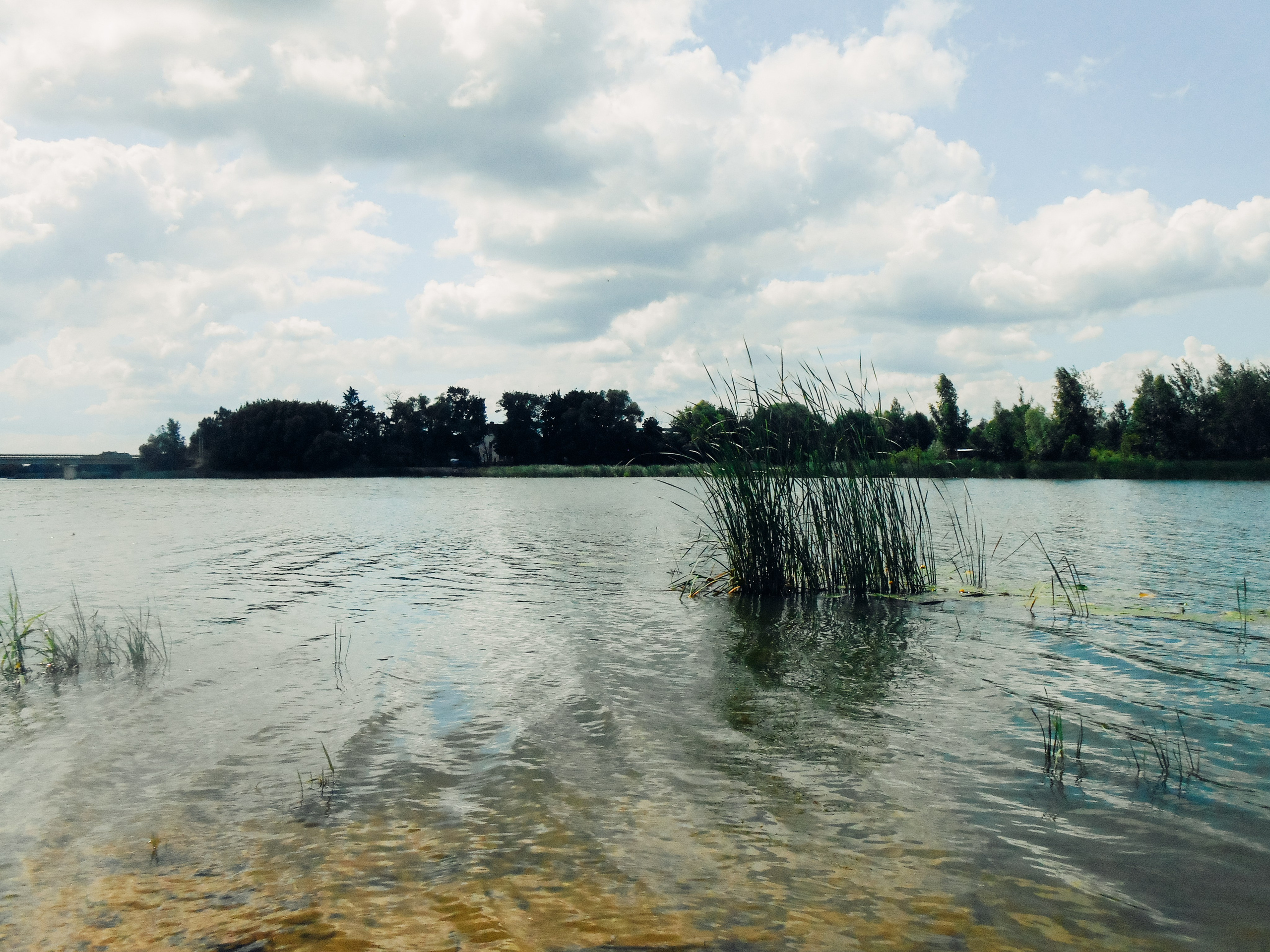 Воронеж. Репортажный и портретный фотограф в Липецкой, Воронежской, Московской области Тёма Белоусов