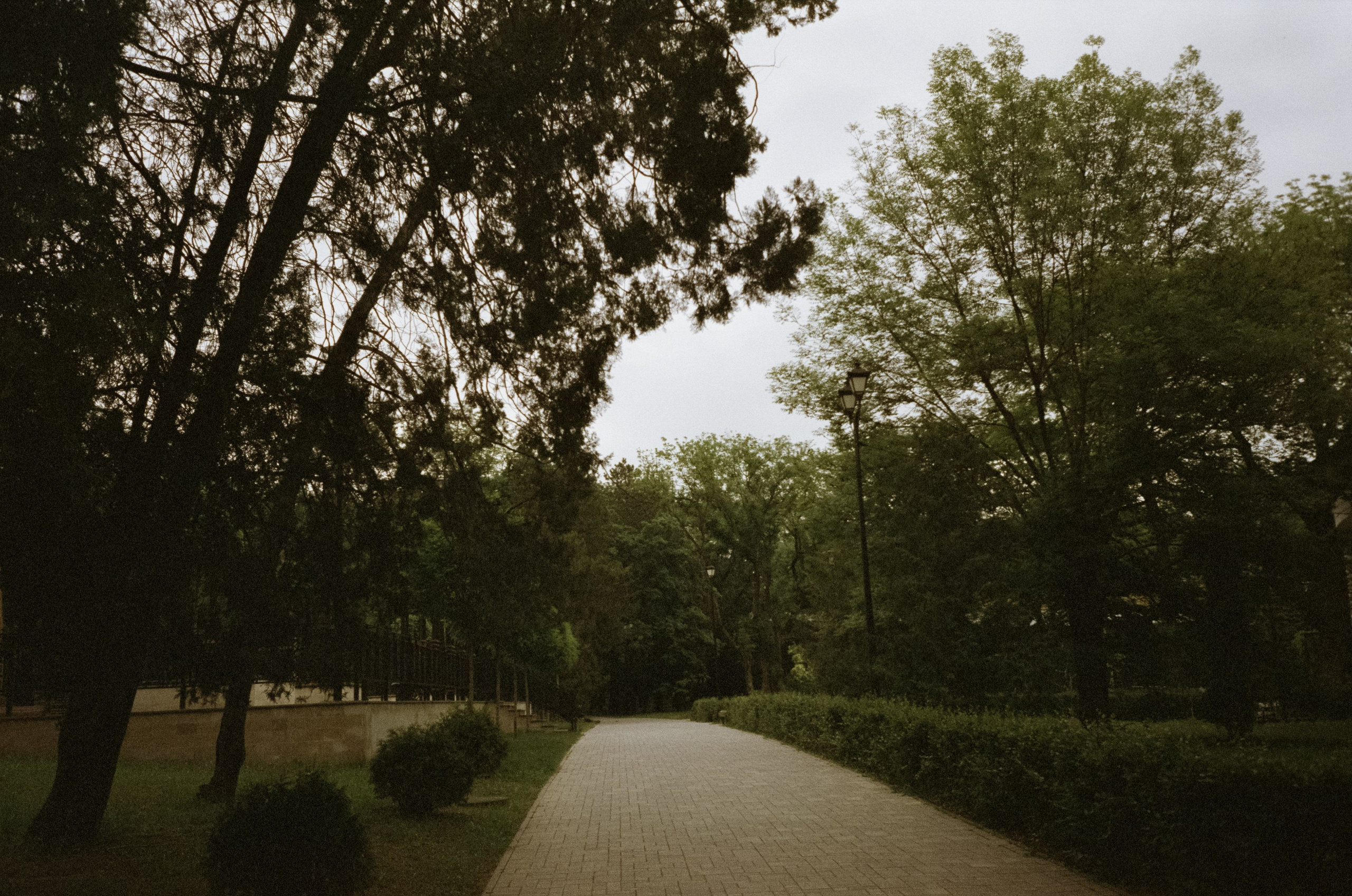 Курортный парк и улочки Ессентуков. Фотограф-документалист Мария Осокина