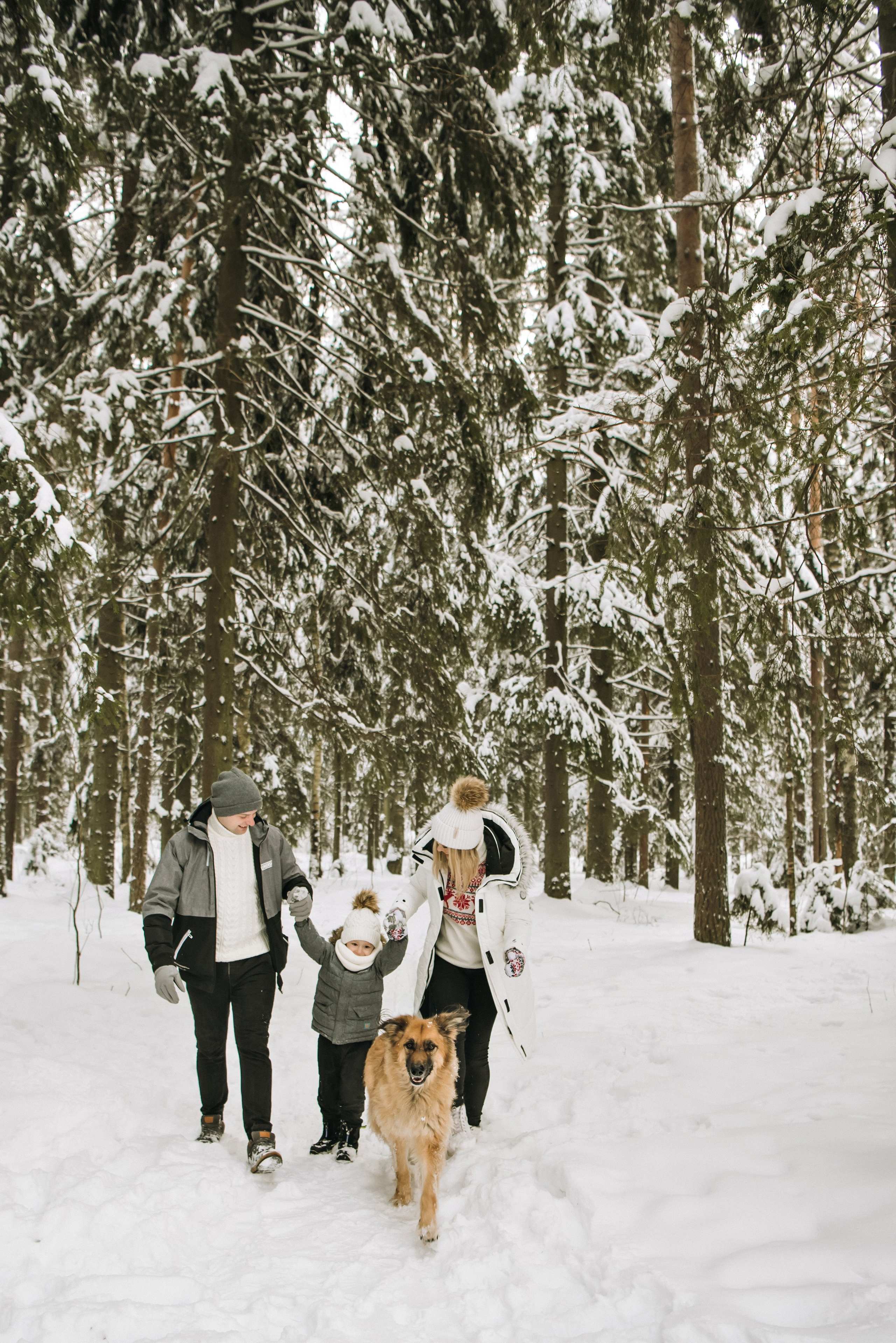Катя и Игорь. Свадебный фотограф в Санкт-Петербурге София Шубик