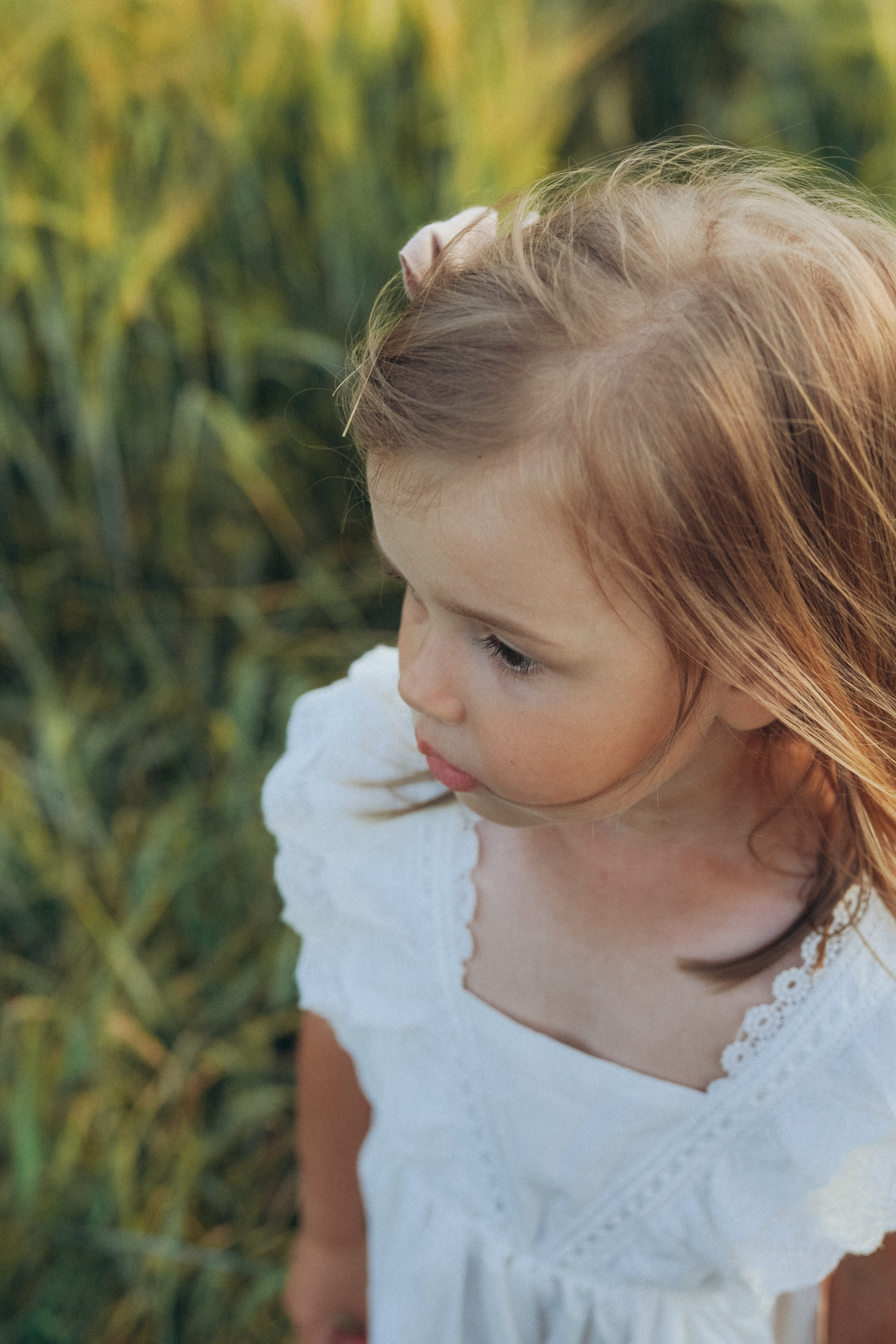 Пшеничное поле. Семейный и женский фотограф в Санкт-Петербурге Татьяна Стружкина