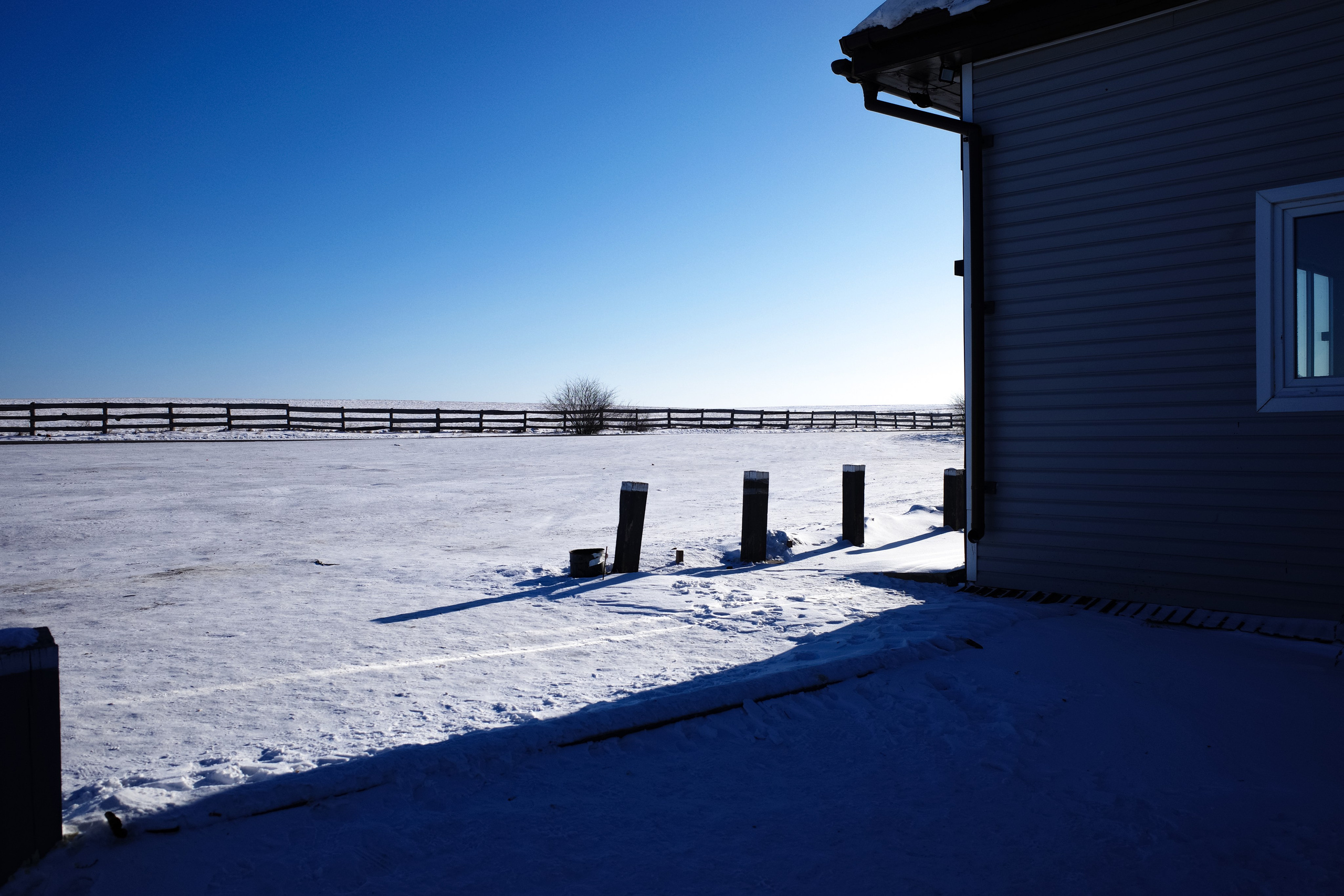 Безмолвие пустоши. Междисциплинарный художник Екатерина Старовойтова