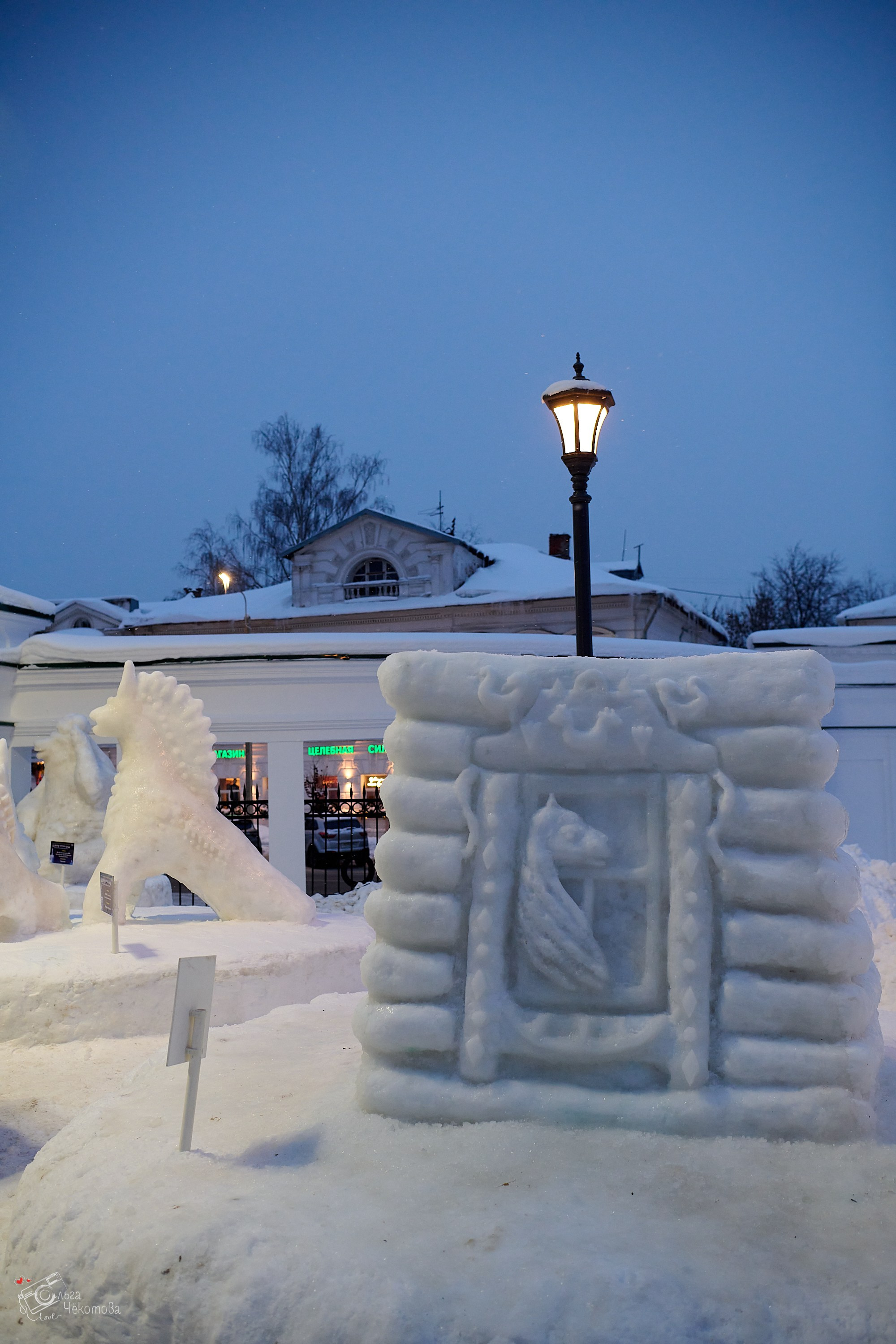 Кострома — зимняя сказка. Ольга Чёкотова (Фотограф Кострома)