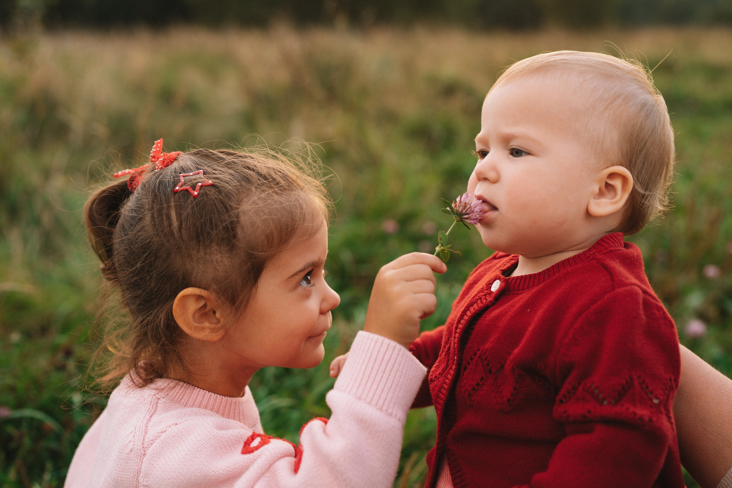 Юля, Андрей, Варя и Аглая. Семейный фотограф Валерия Фабричникова, Москва