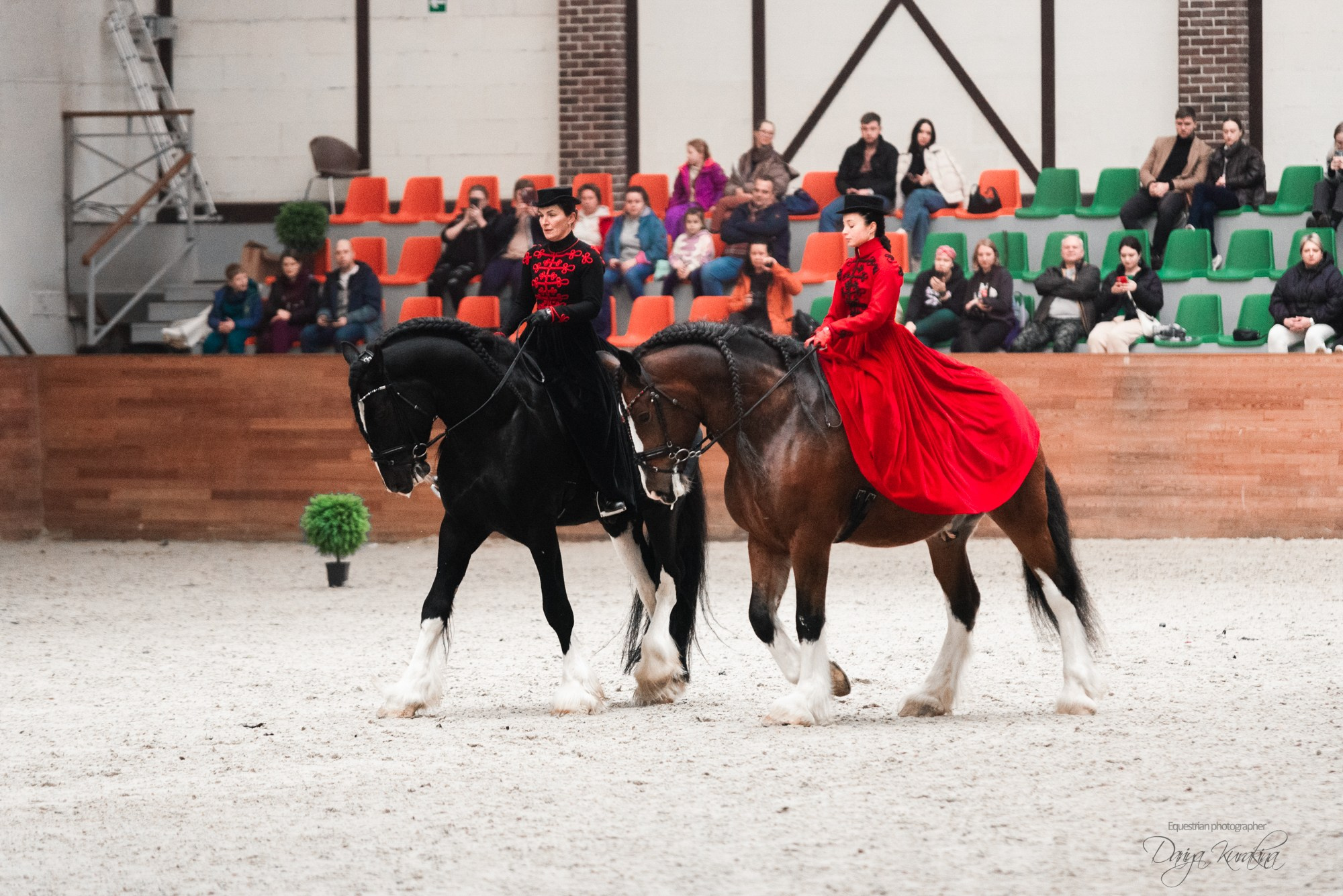 8-я международная выставка Конная Россия. Конный фотограф Куракина Дарья • Фотосессии с лошадьми