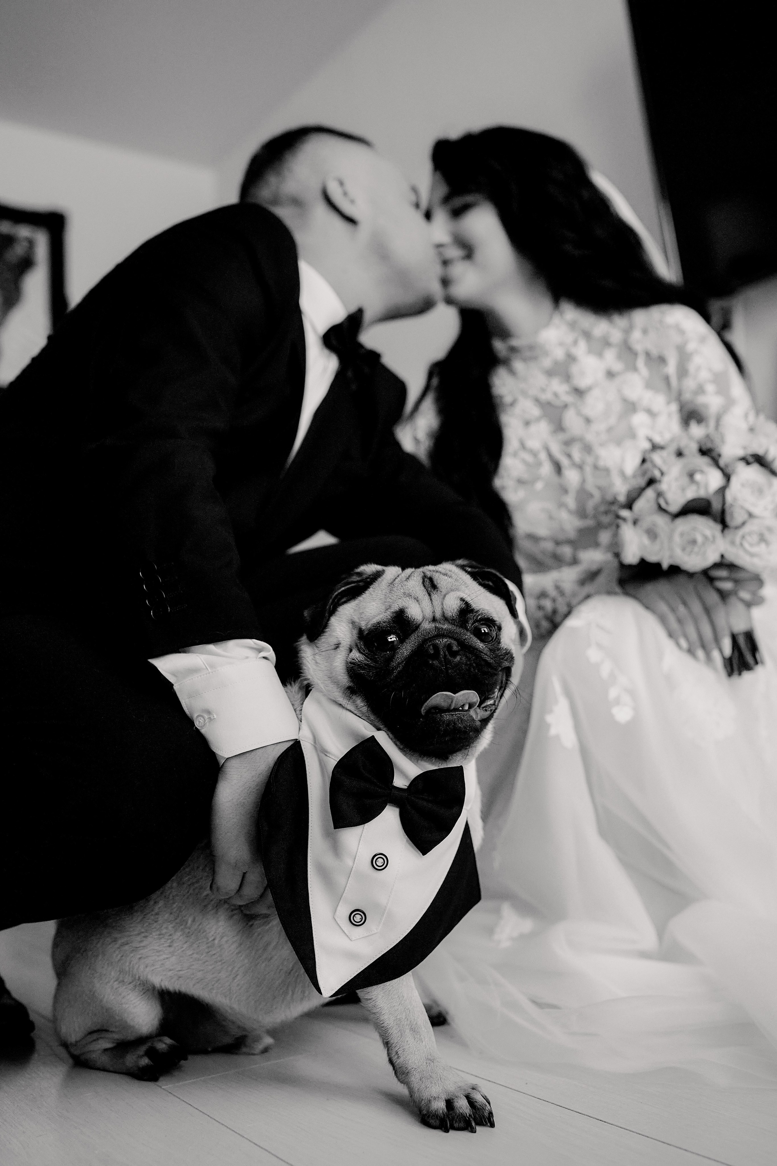 Никита и Анастасия. Свадебный фотограф Чайковский