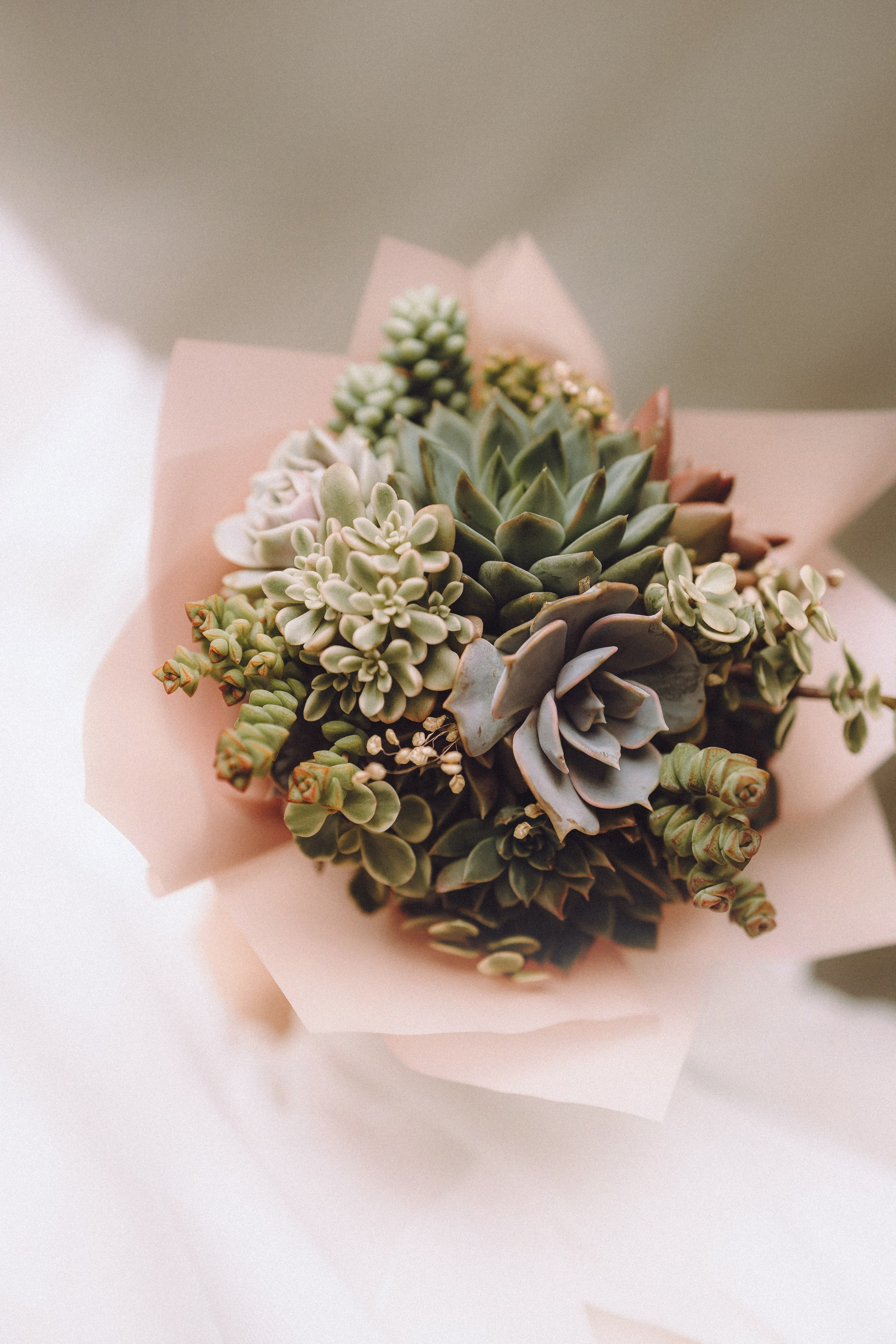 Денис, Василина, Гаврюша и Кнопка