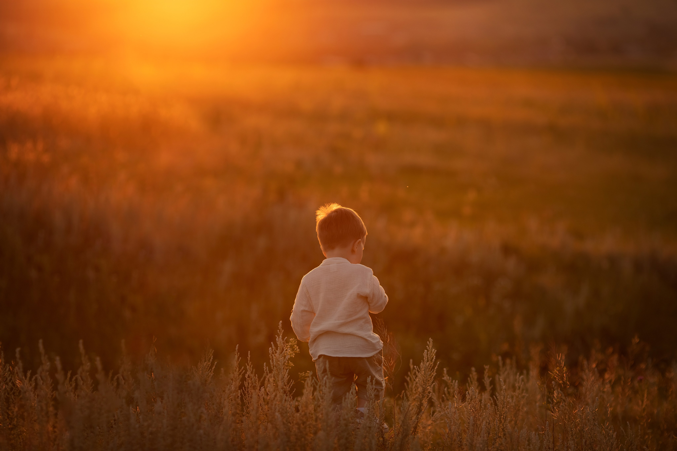Солнечный лес. Семейный и детский фотограф в Саратове Полина Коткина