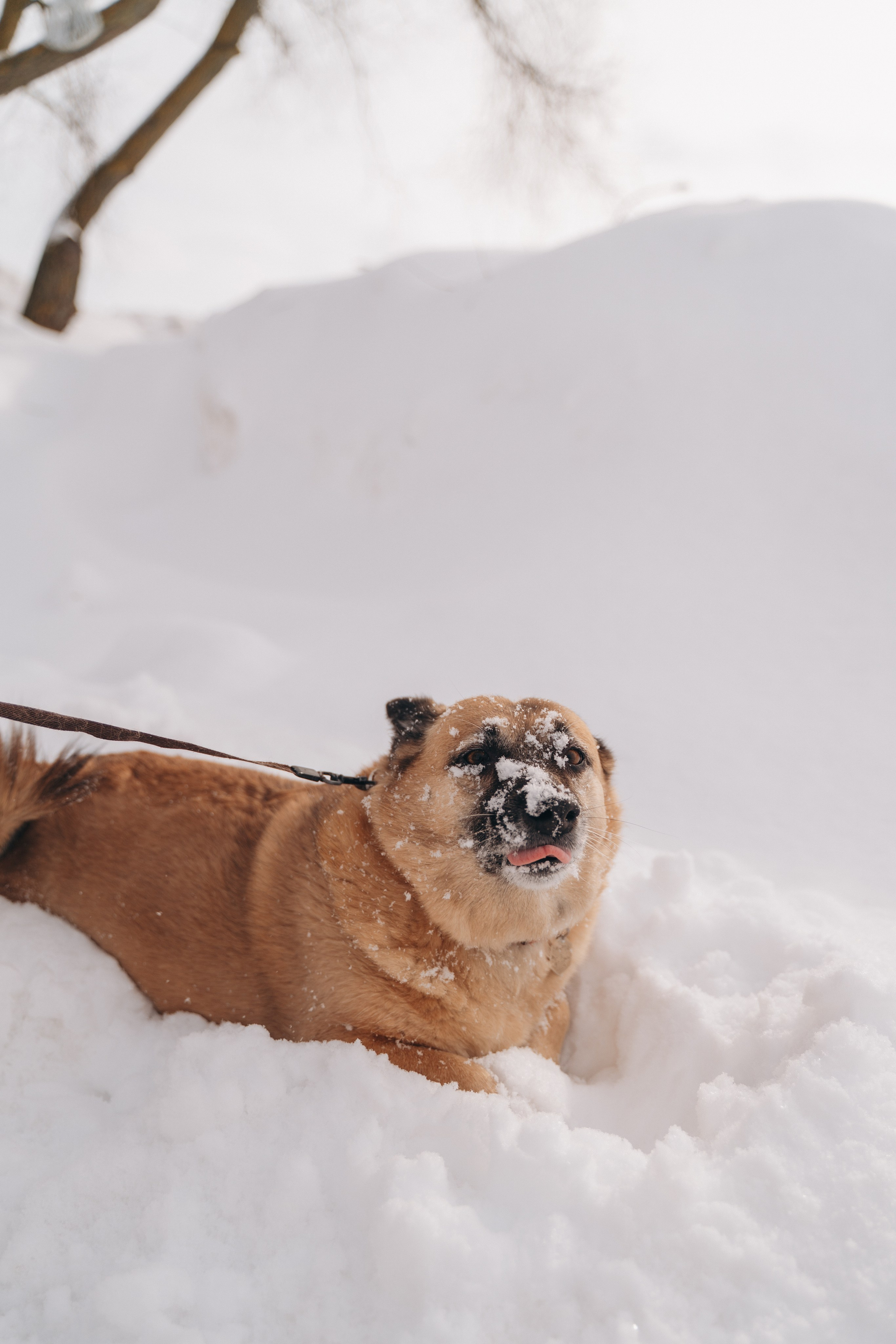 Февраль с Мартой 💞. FotoTanya. Раменское/Жуковский/Бронницы