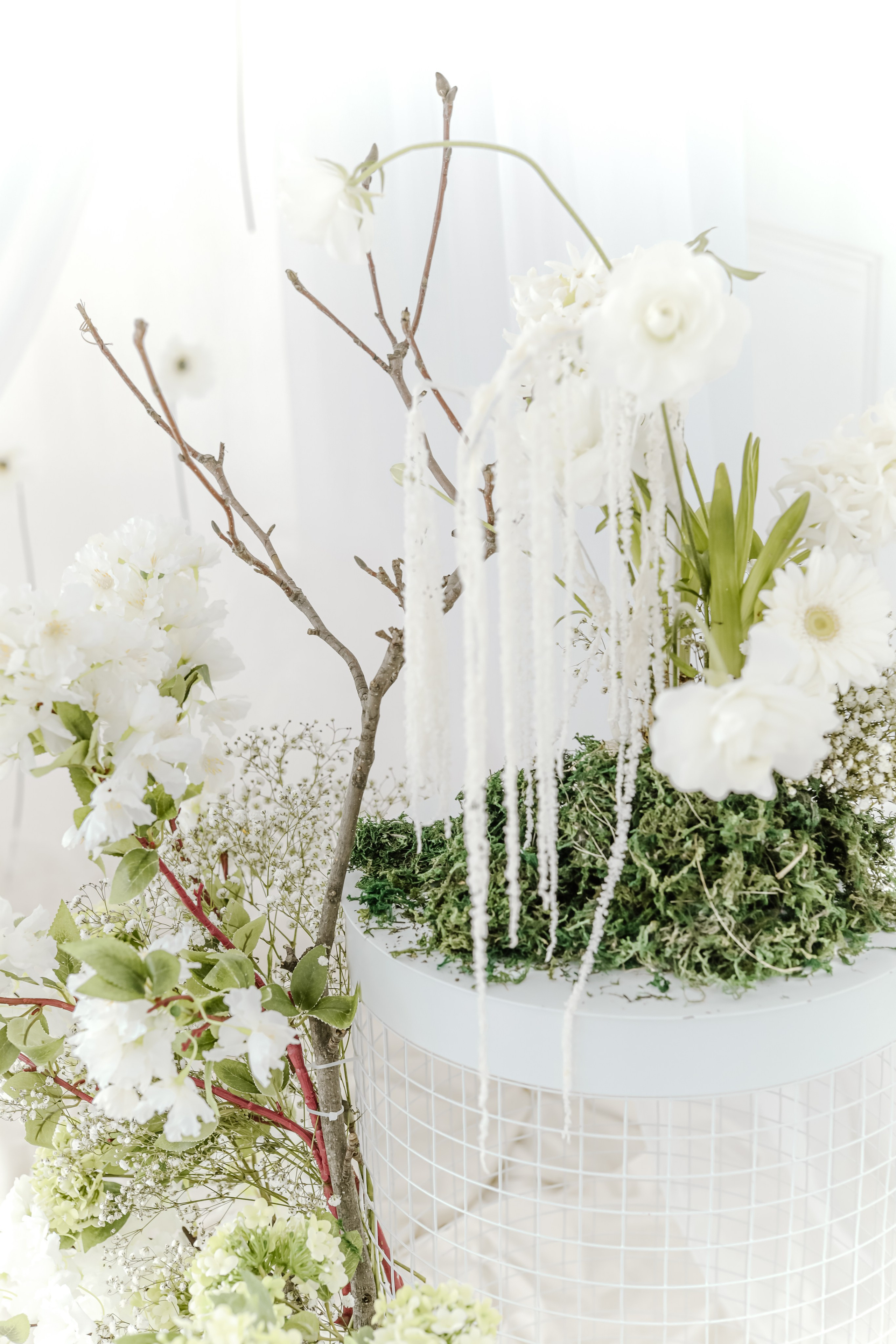 Виктория и Максим.Краснодар. Фотограф Славянск на кубани Краснодар