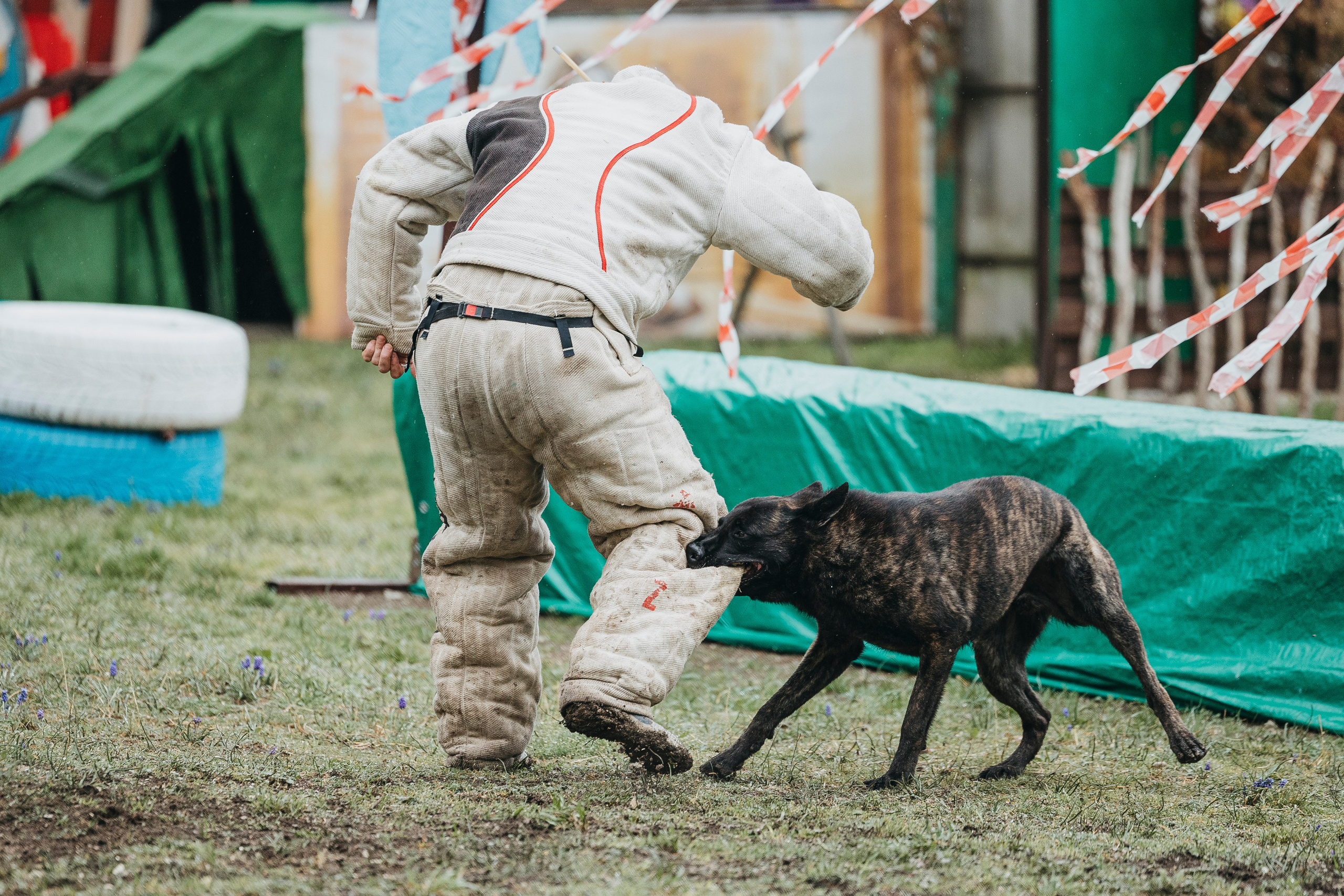 Геленджик Мондьоринг. Фотограф-анималист Анна Маринич