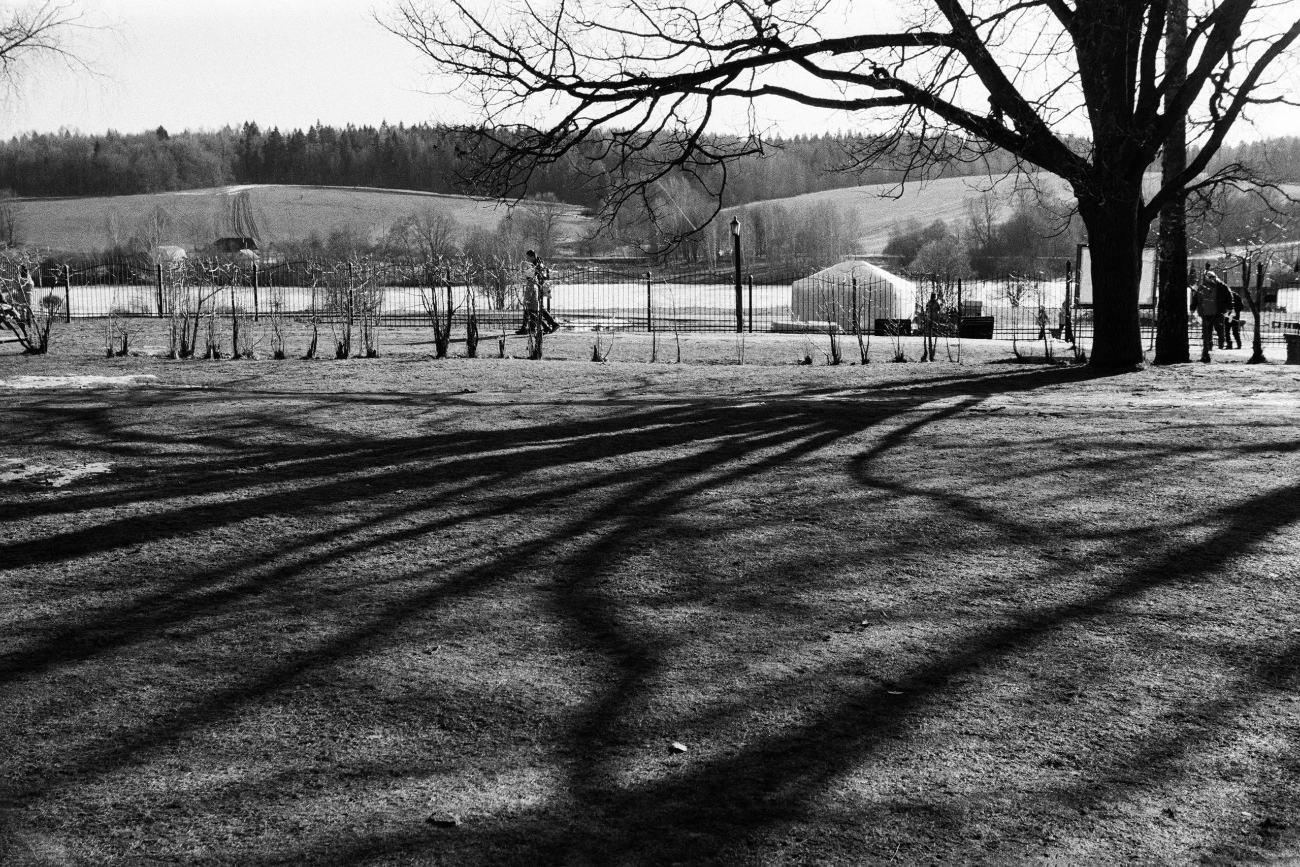 Пленка. Фотограф Елена Лаврова