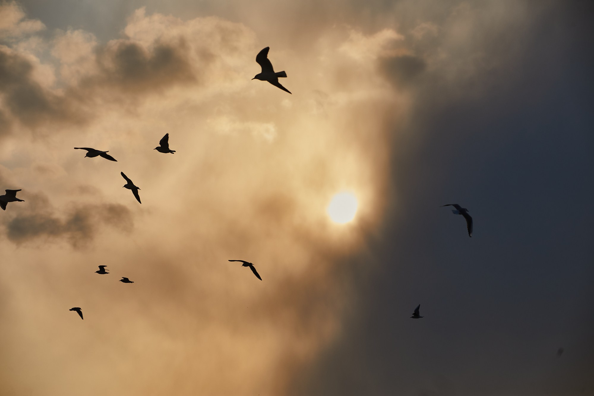 Море и серферы. Репортажный и постановочный Наталья Санникова