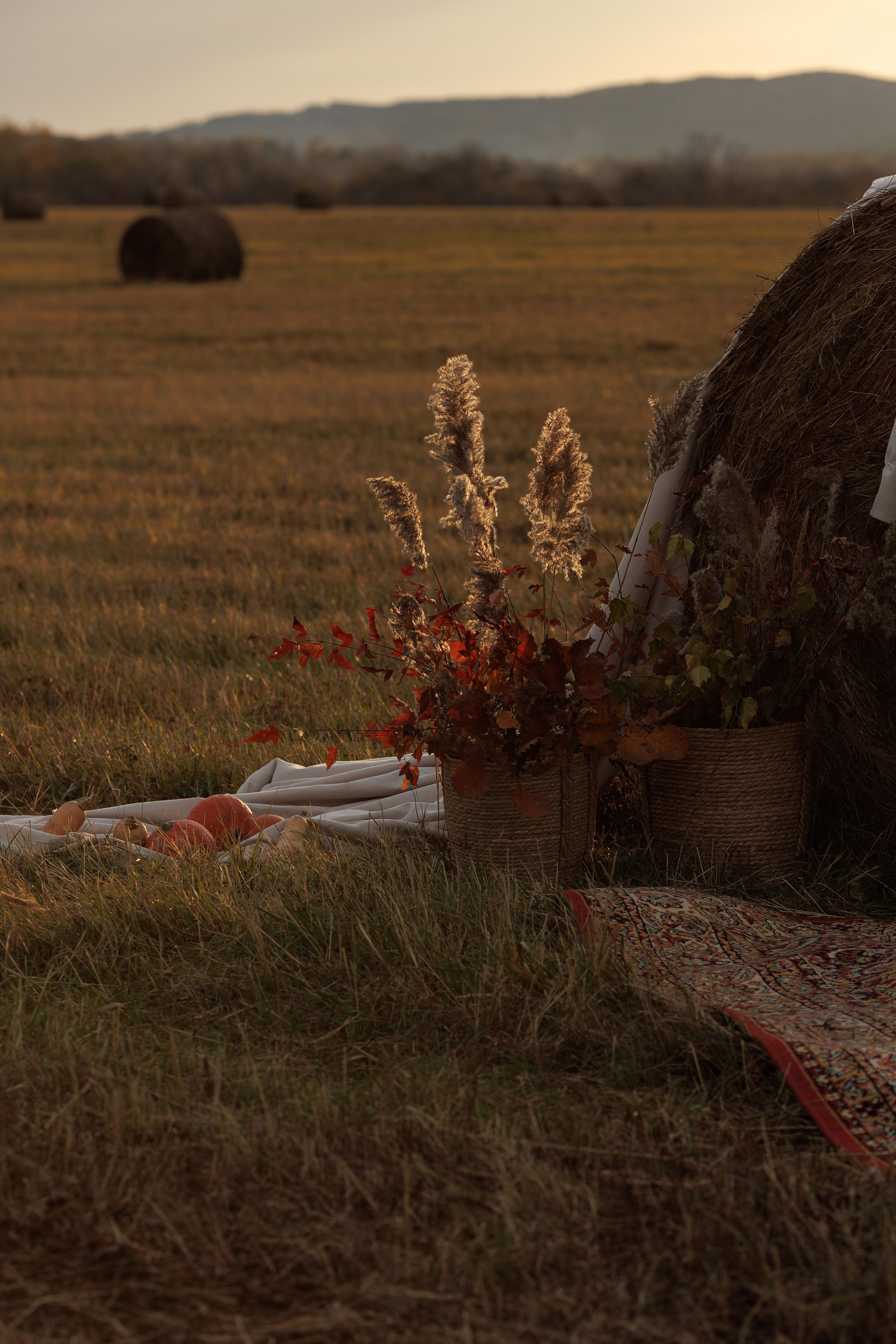 Ясная Поляна. Свадебный и семейный фотограф  во Владивостоке Ольга Украинец