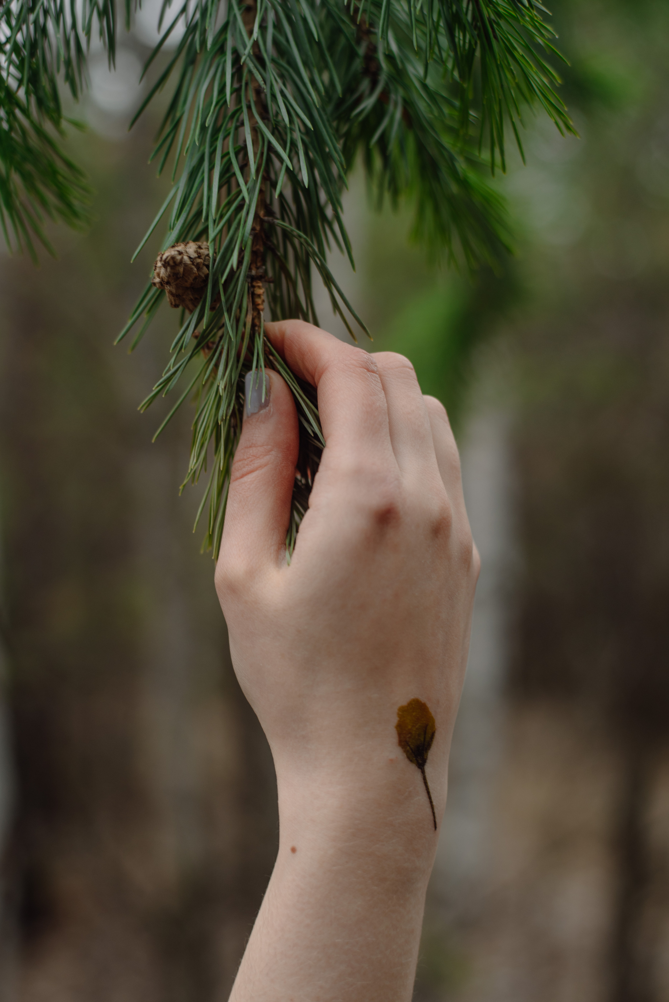 Настя. Портретный фотограф в Ереване и Челябинске Шаханская Ольга