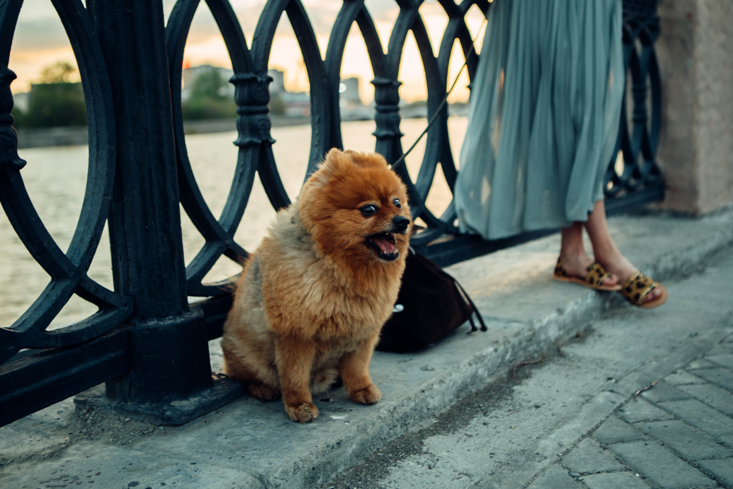 Ирина. Портретный фотограф в Ереване и Челябинске Шаханская Ольга