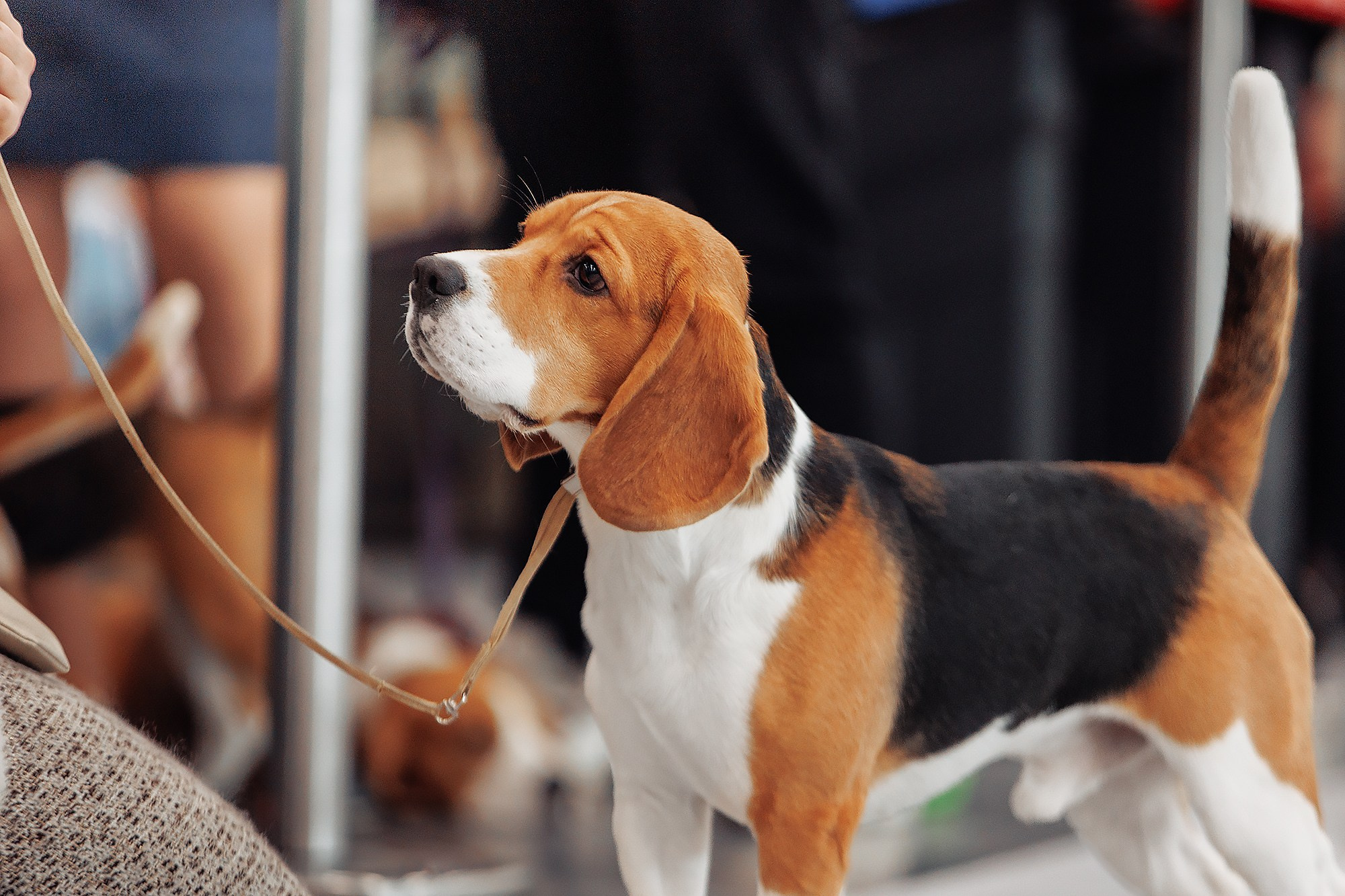 28-29.01.2023 — Казань «Сабанеевка». Фотограф-анималист Саша Вязьмина