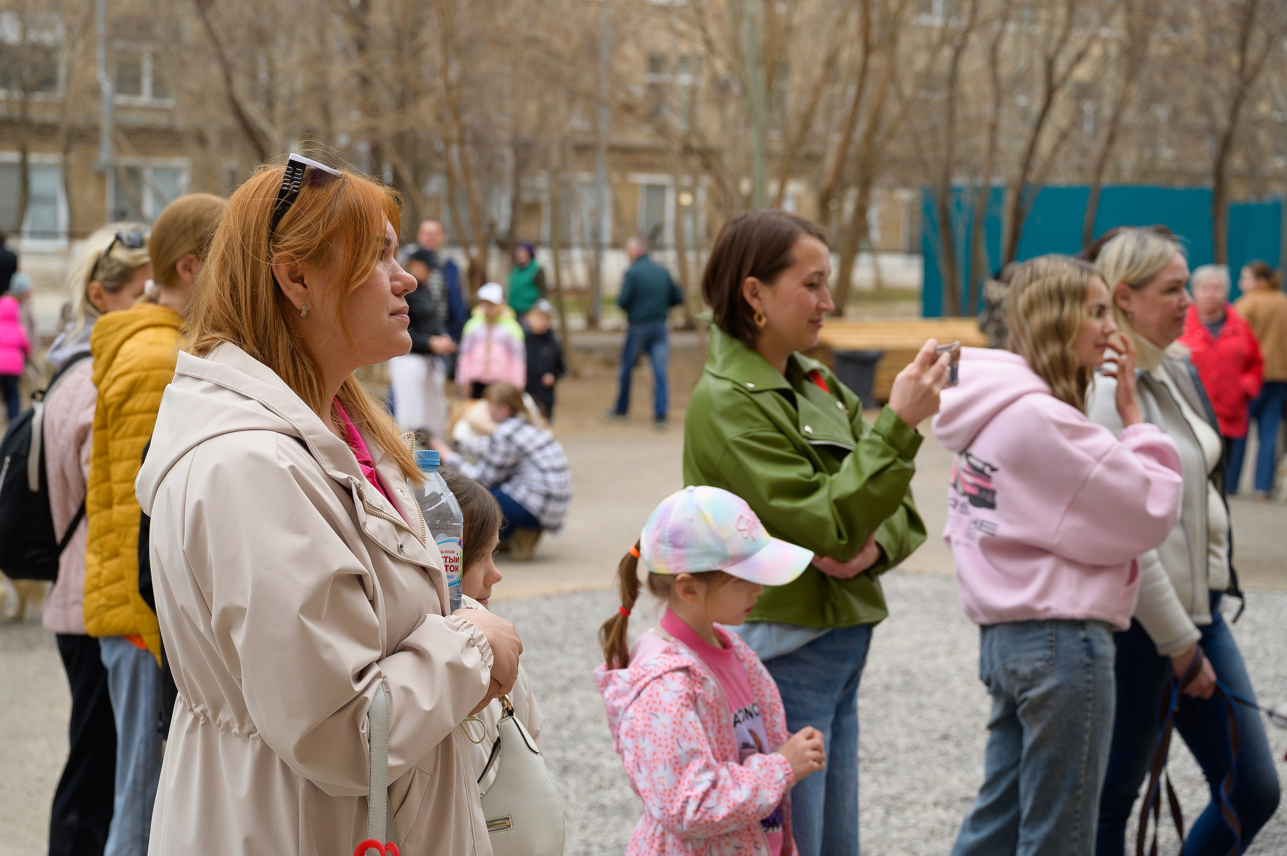 Открытие приюта для собак породы Хаски «Хаски дом»