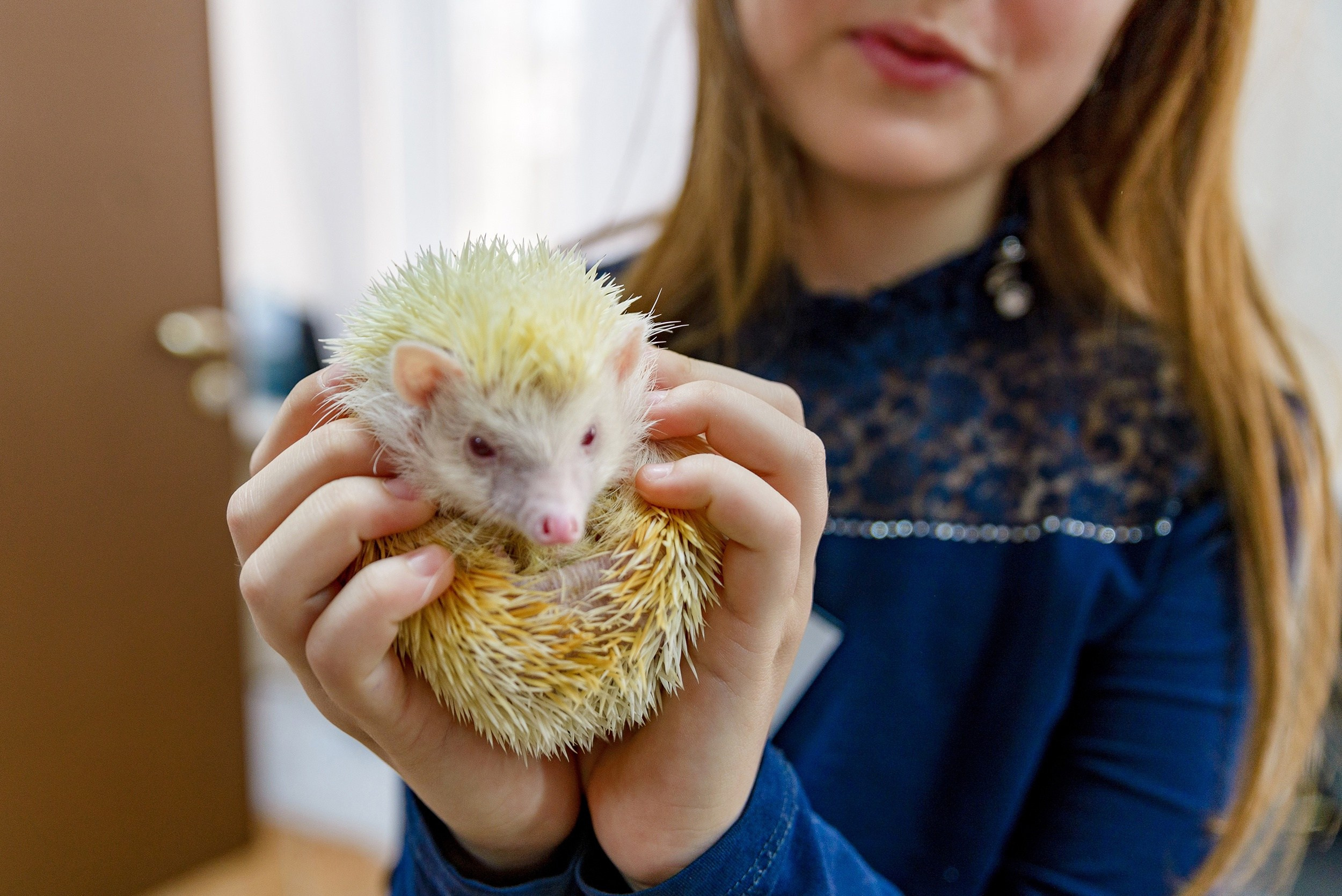Основной альбом. Фотограф в Ханты-Мансийске Евгений Жуланов