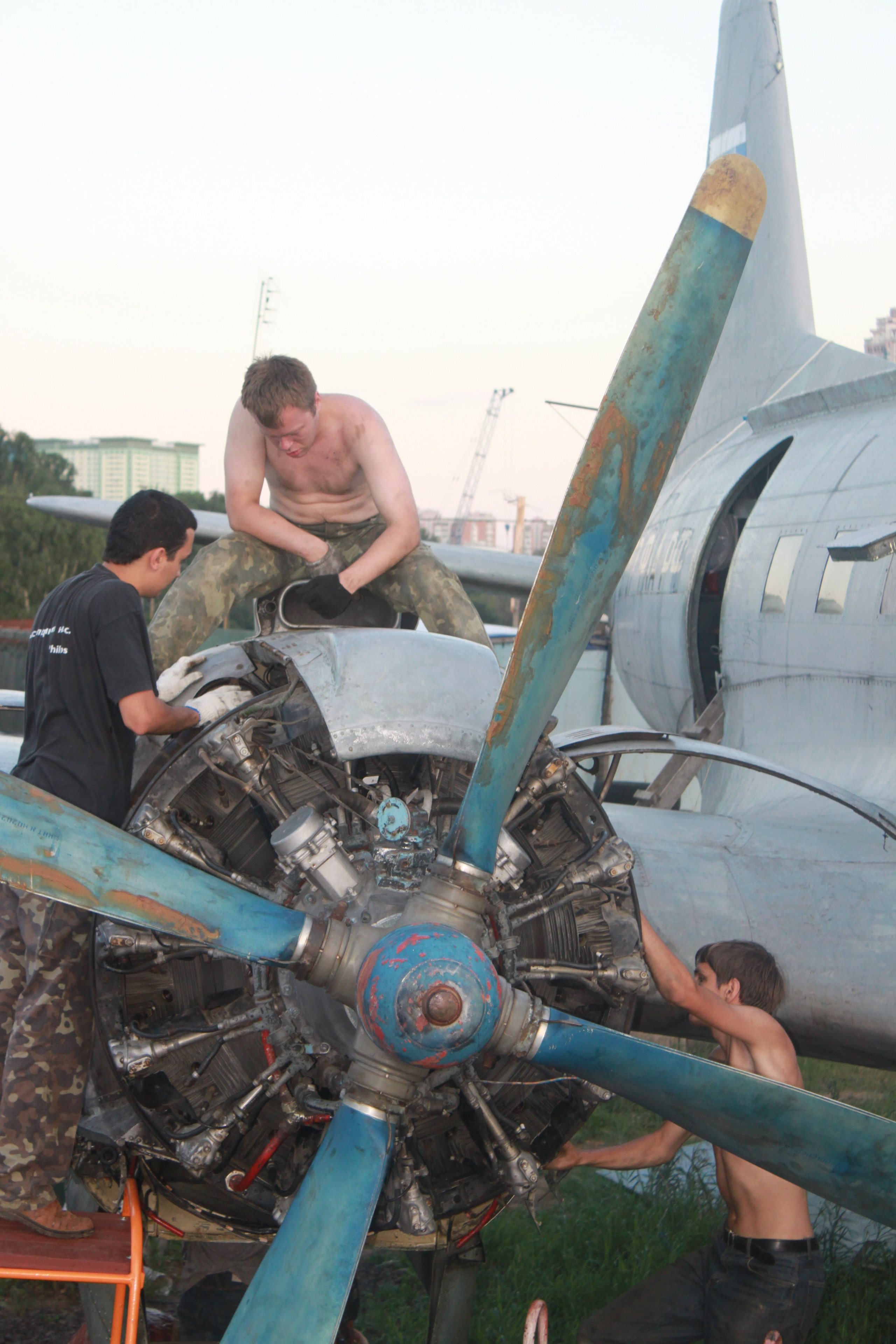 Ил-14Т «Голубая Мечта» работы в Тушино (2011 г.). Фотоальбом показывающий увлекательный мир авиации и мир медведей Андрея Иванова
