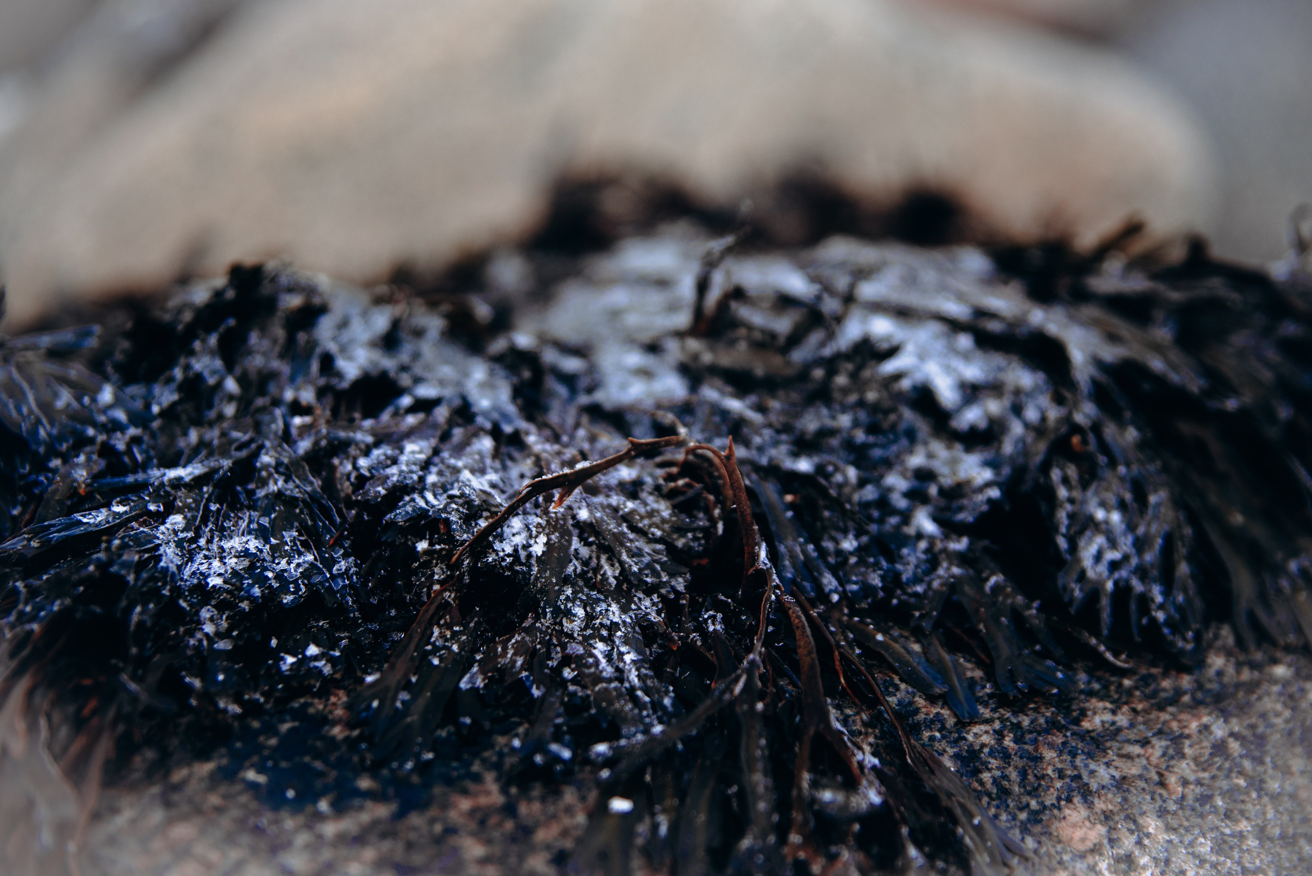 Териберка, Мурманск, Россия 🇷🇺. Anita_photo