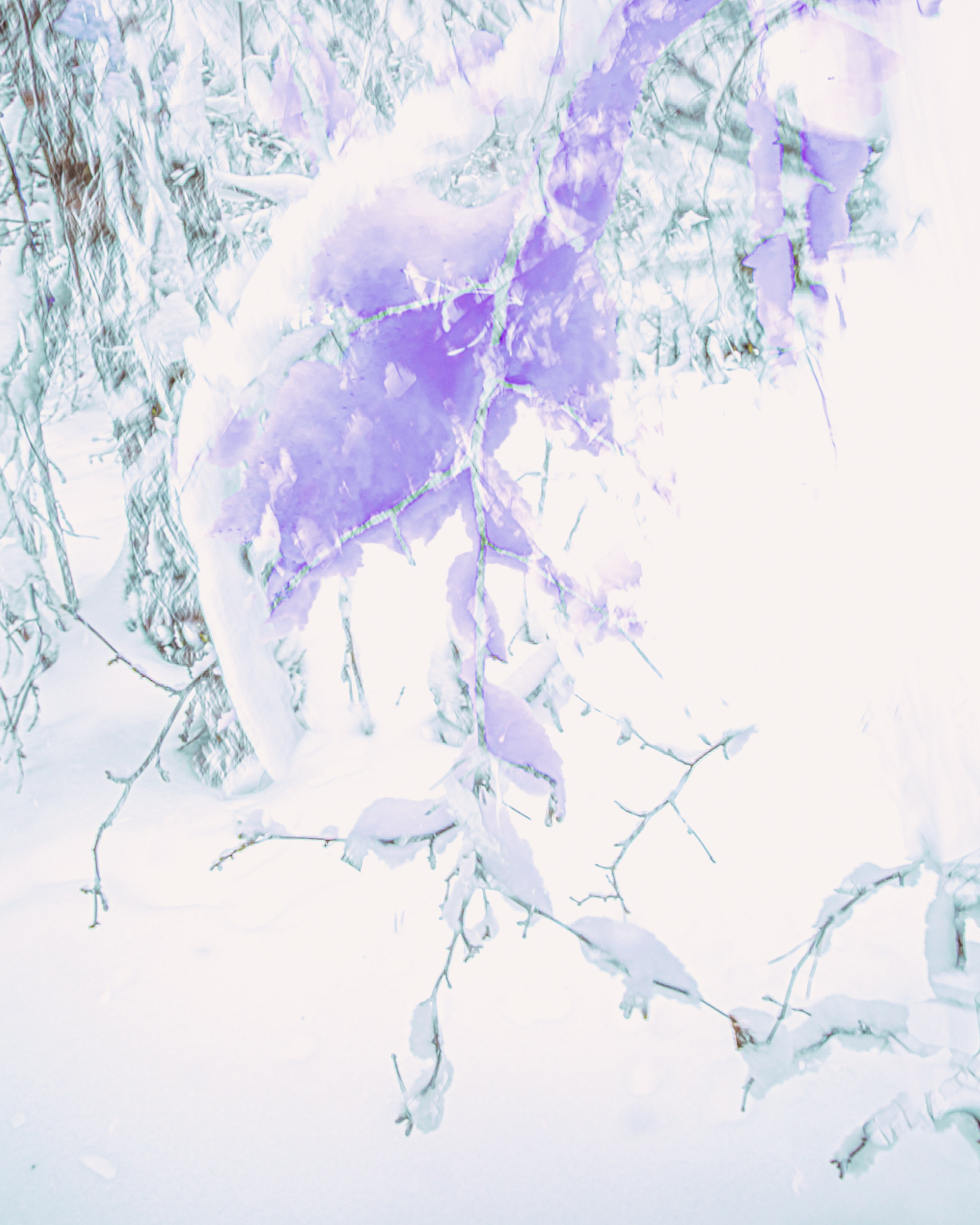 ИГГДРАСИЛЬ, 2025-2026. АННА ВЕРСО / ANNA VERSO | Визуальный художник / Visual artist