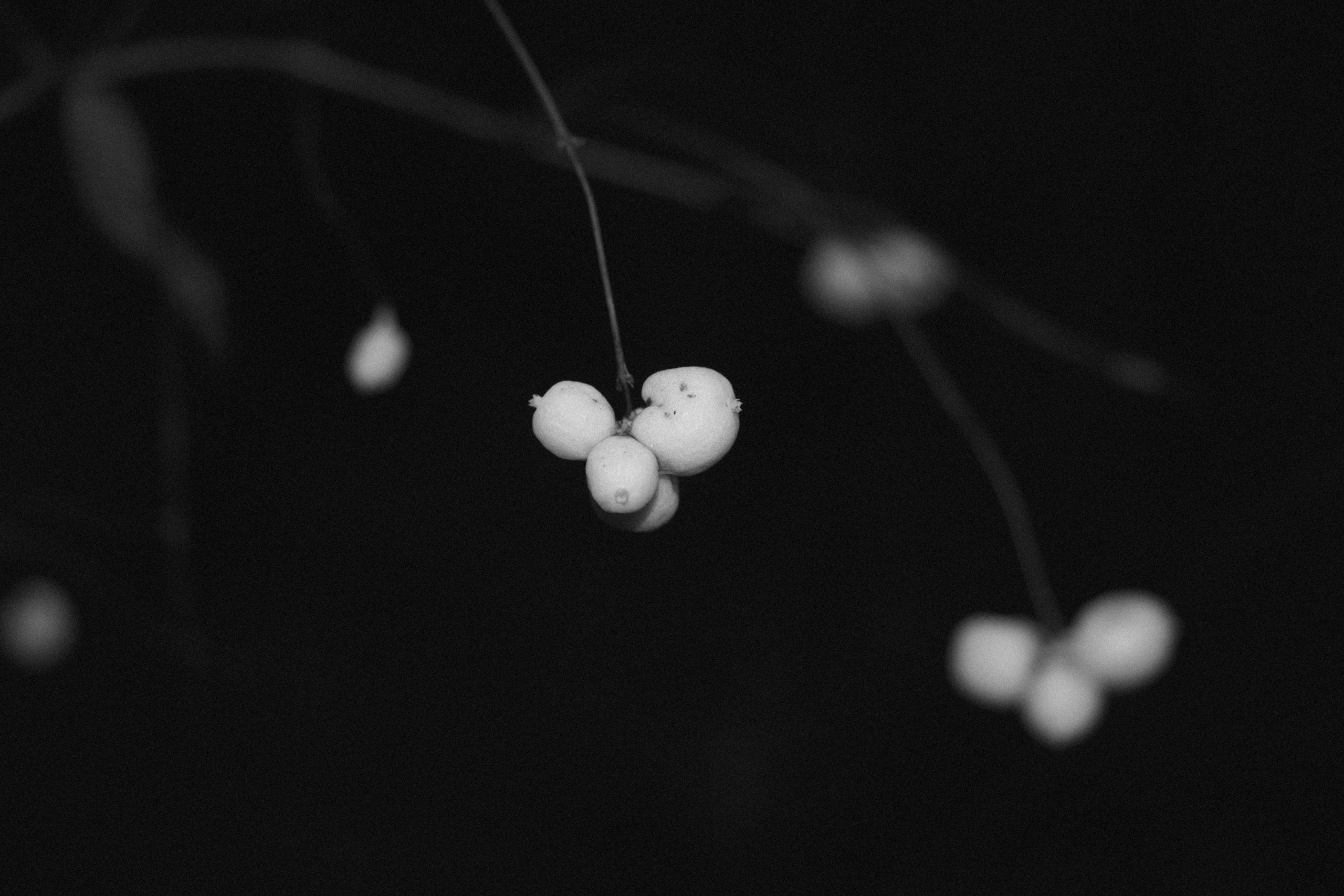 Интимный пейзаж. Олег Романов. Мастер фото по спорту