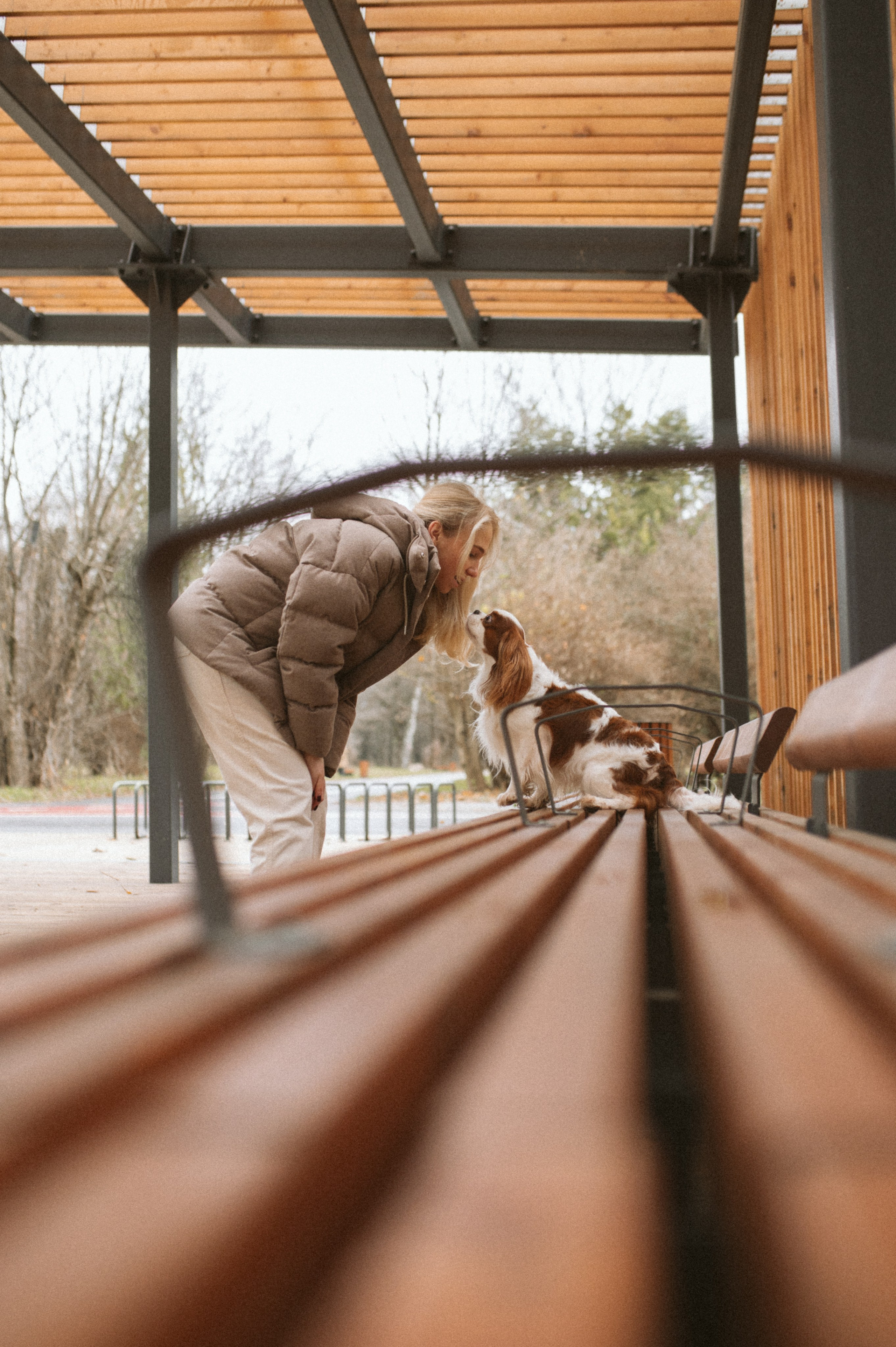 Настя и Тэйлор. Фотограф анималист в Москве Ольга Агушева