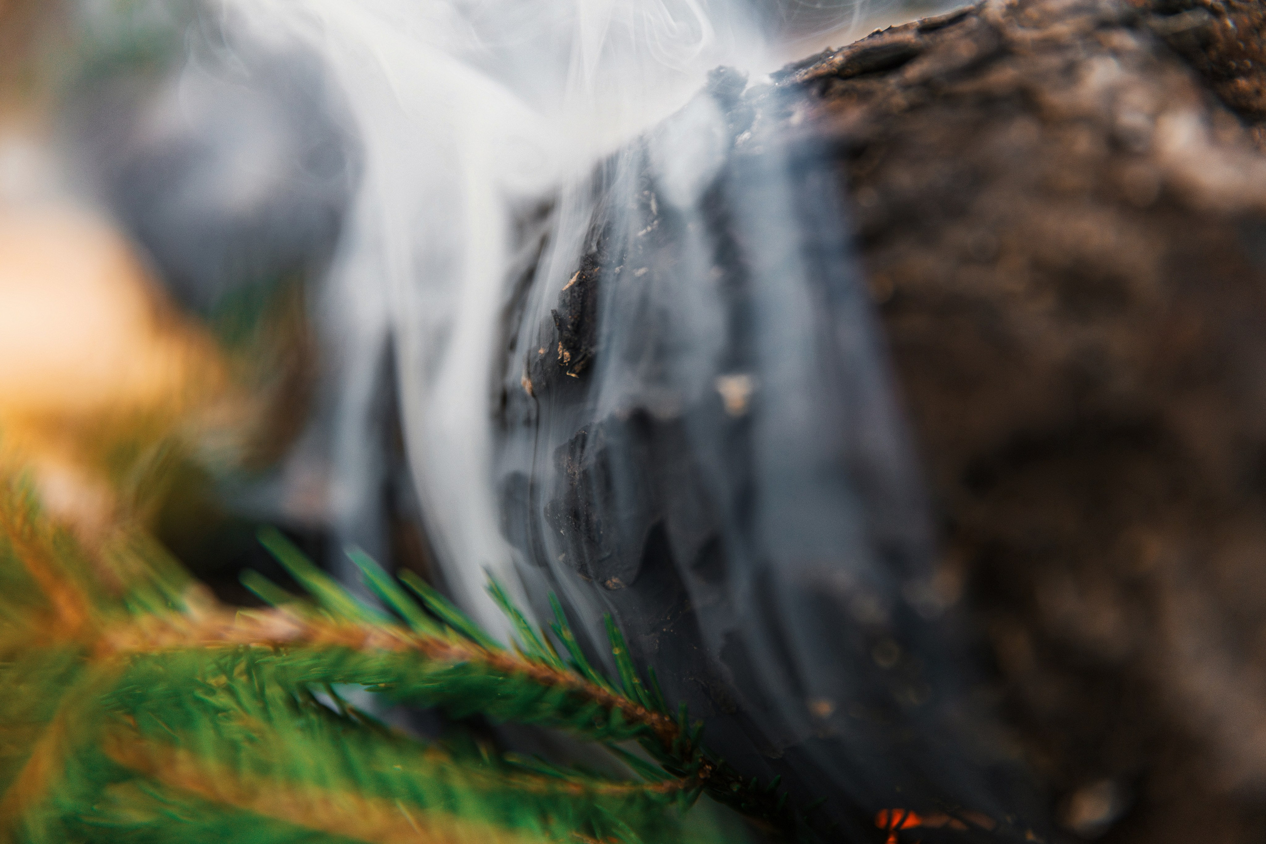 Рекламная фотосъемка автодомов в Санкт-Петербурге | Фотограф для бизнеса