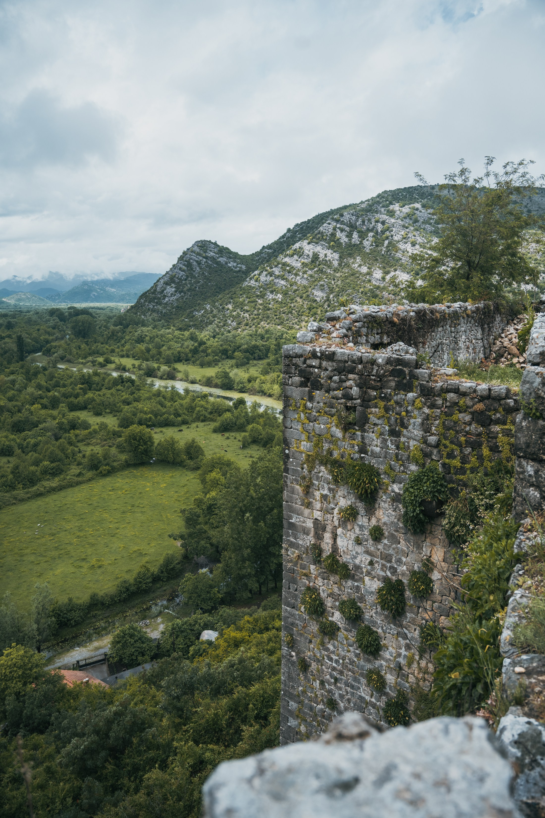 СКАДАРСКОЕ ОЗЕРО. ЧЕРНОГОРИЯ. Фотограф в Белграде Чугреева Елена