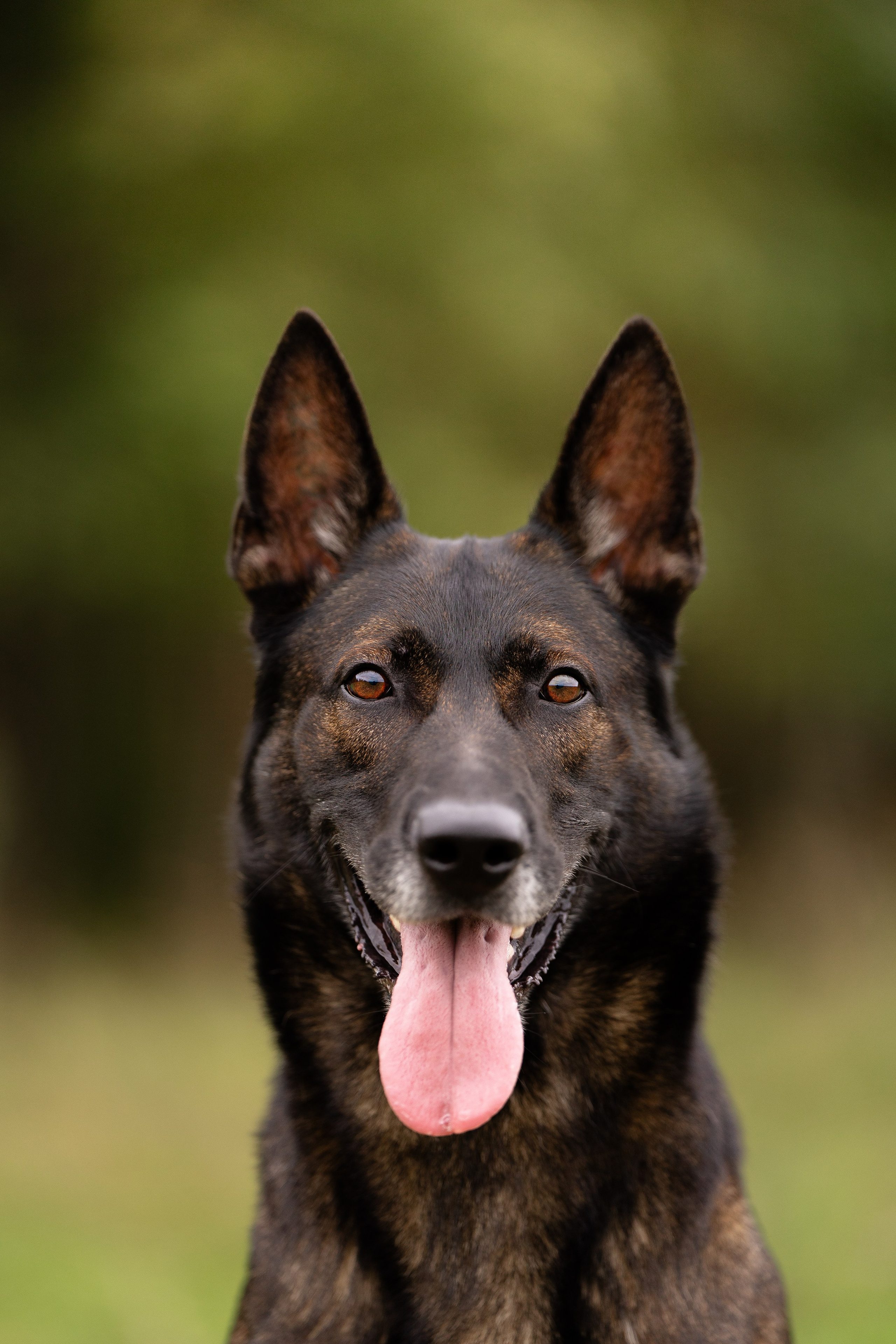 Макс. Фотограф и видеограф анималист Аганина Дарья