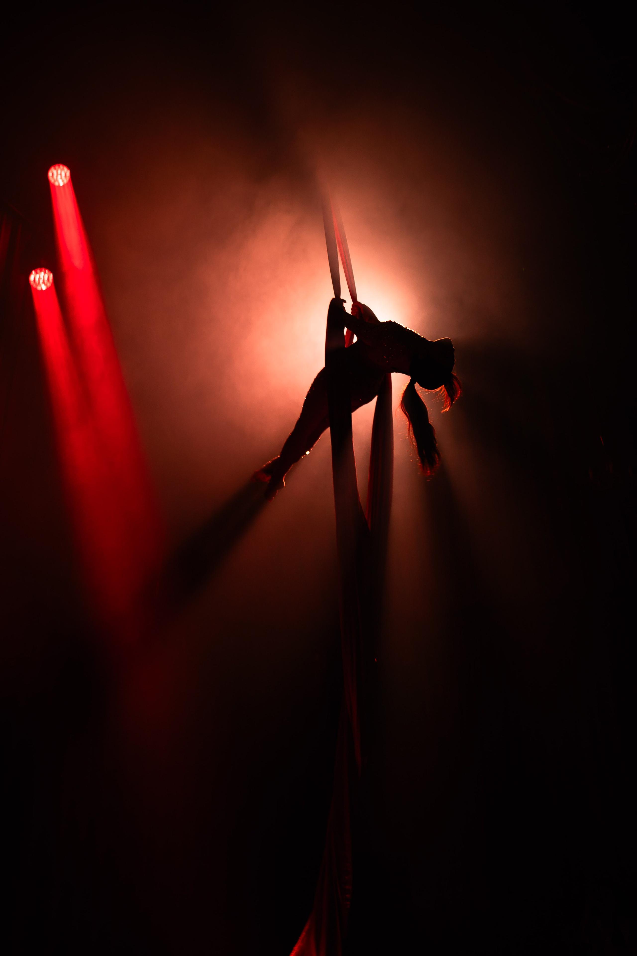 Цирковое шоу. Видеограф Добромыслов