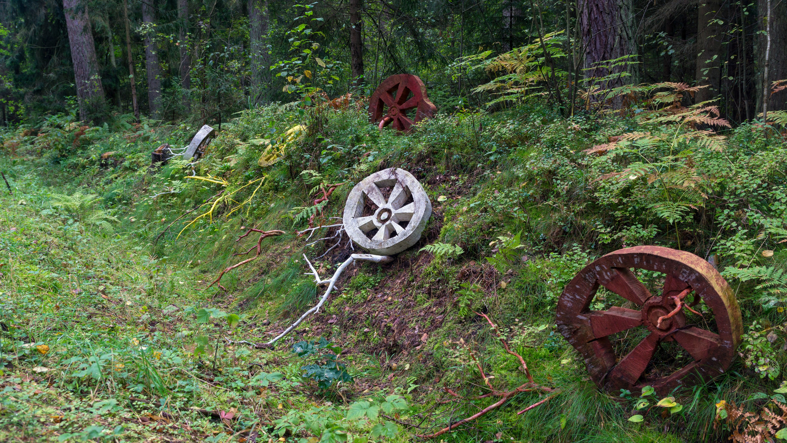 Куршская коса. Фотограф-путешественник Самойлов Максим «Sly Fox»