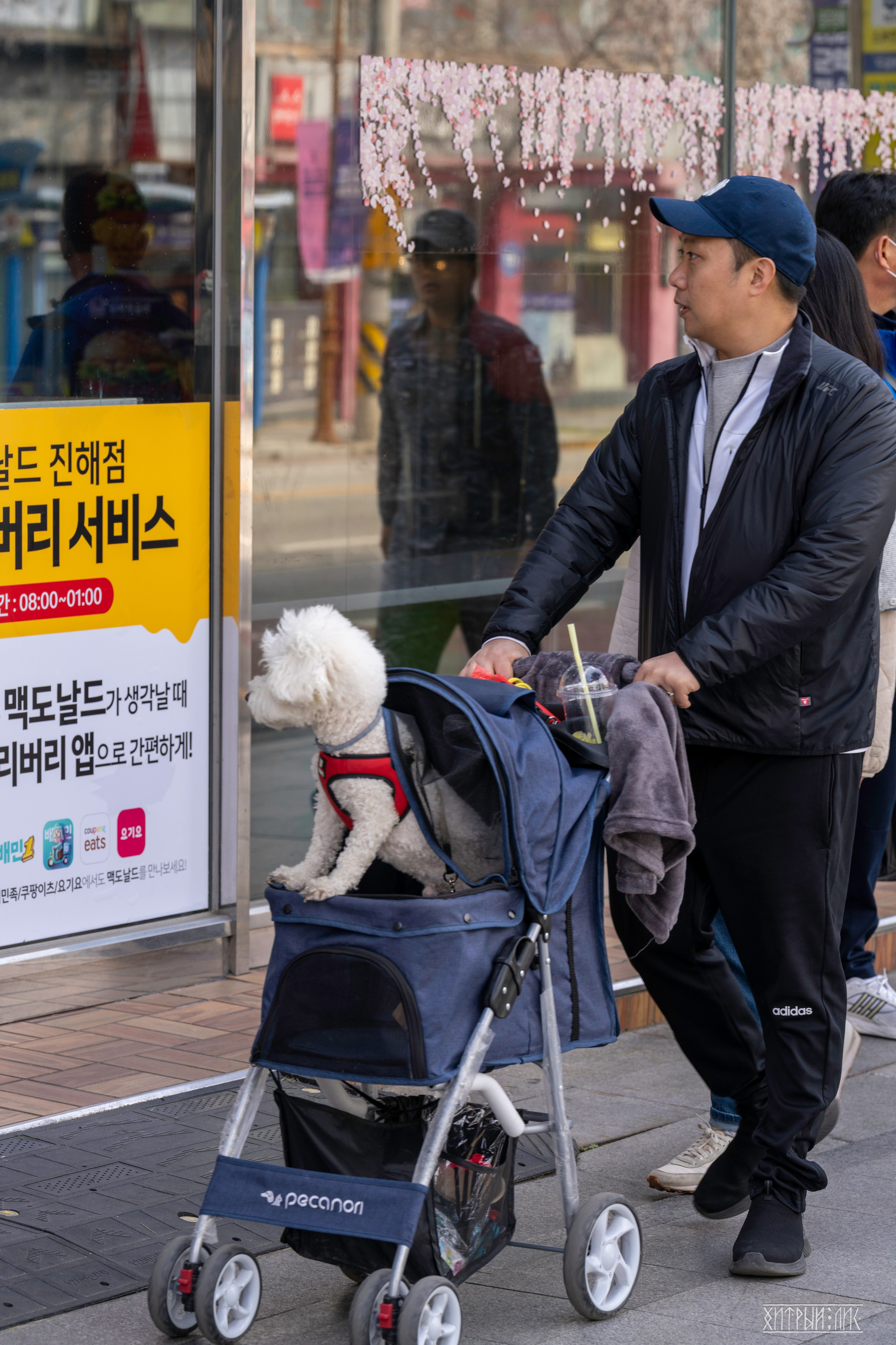 Южная Корея. Фотограф-путешественник Самойлов Максим «Sly Fox»