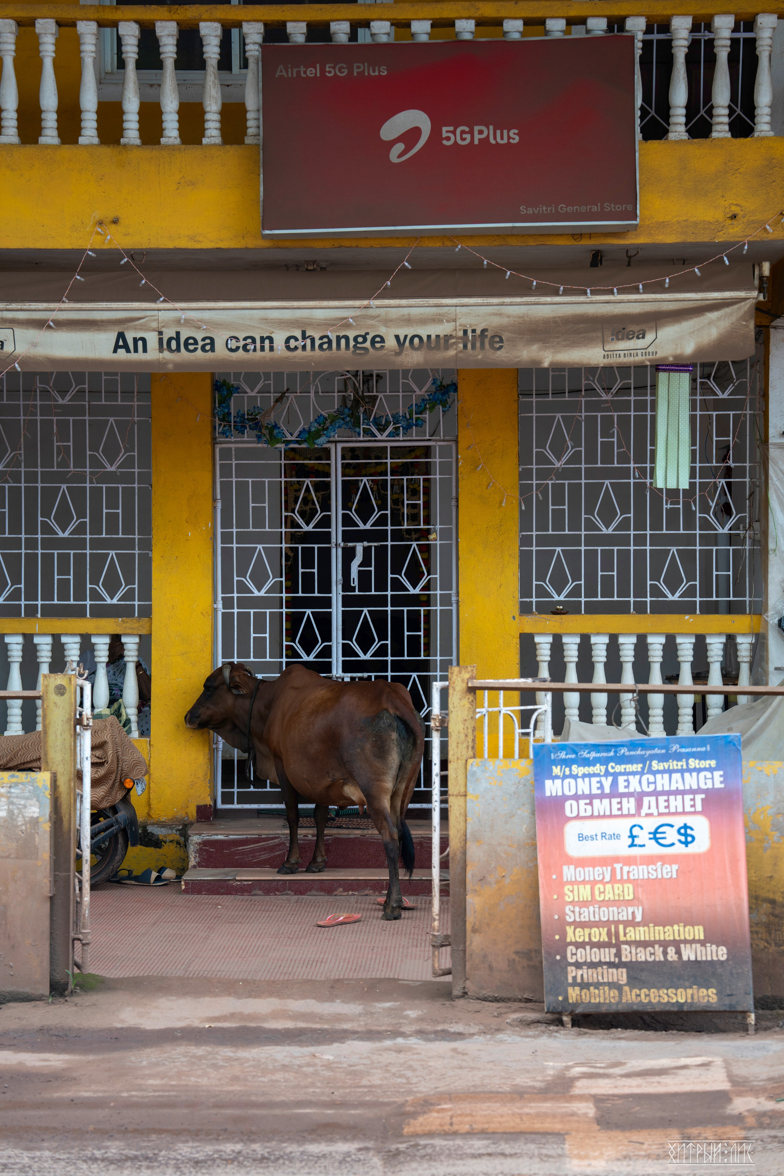Гоа-Мумбаи. Фотограф-путешественник Самойлов Максим «Sly Fox»