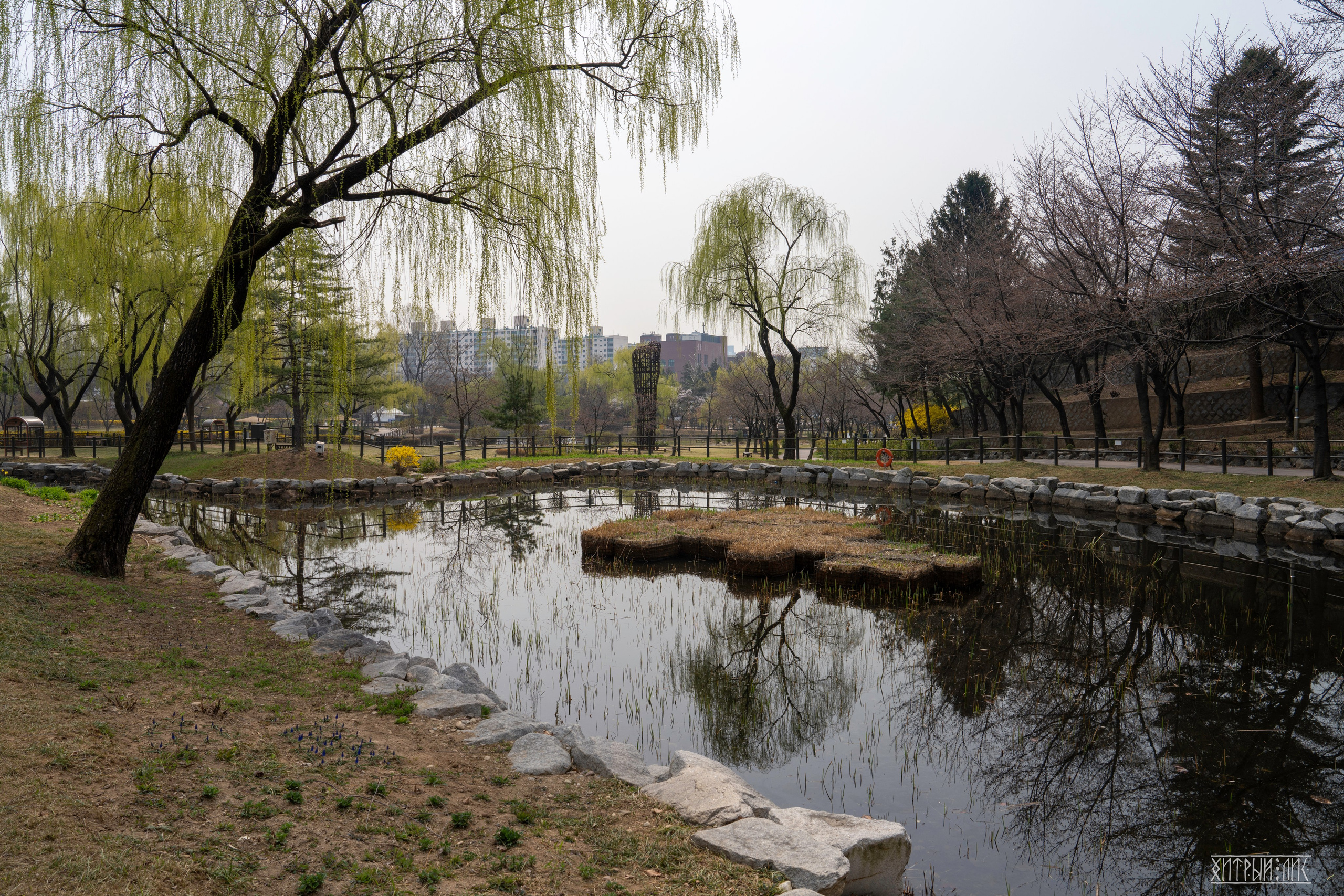 Южная Корея. Фотограф-путешественник Самойлов Максим «Sly Fox»