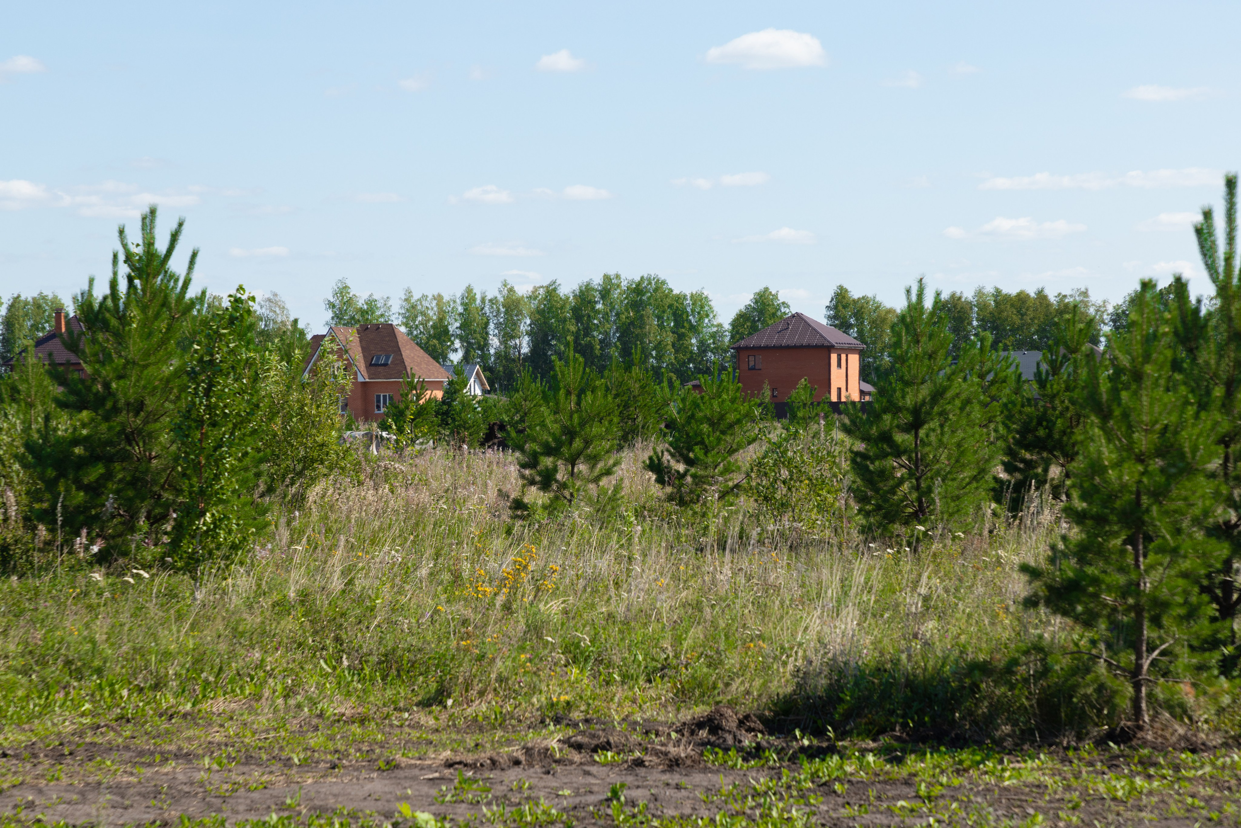 Зубарево Хиллс. Фотограф Денис Лесковский (Тюмень)