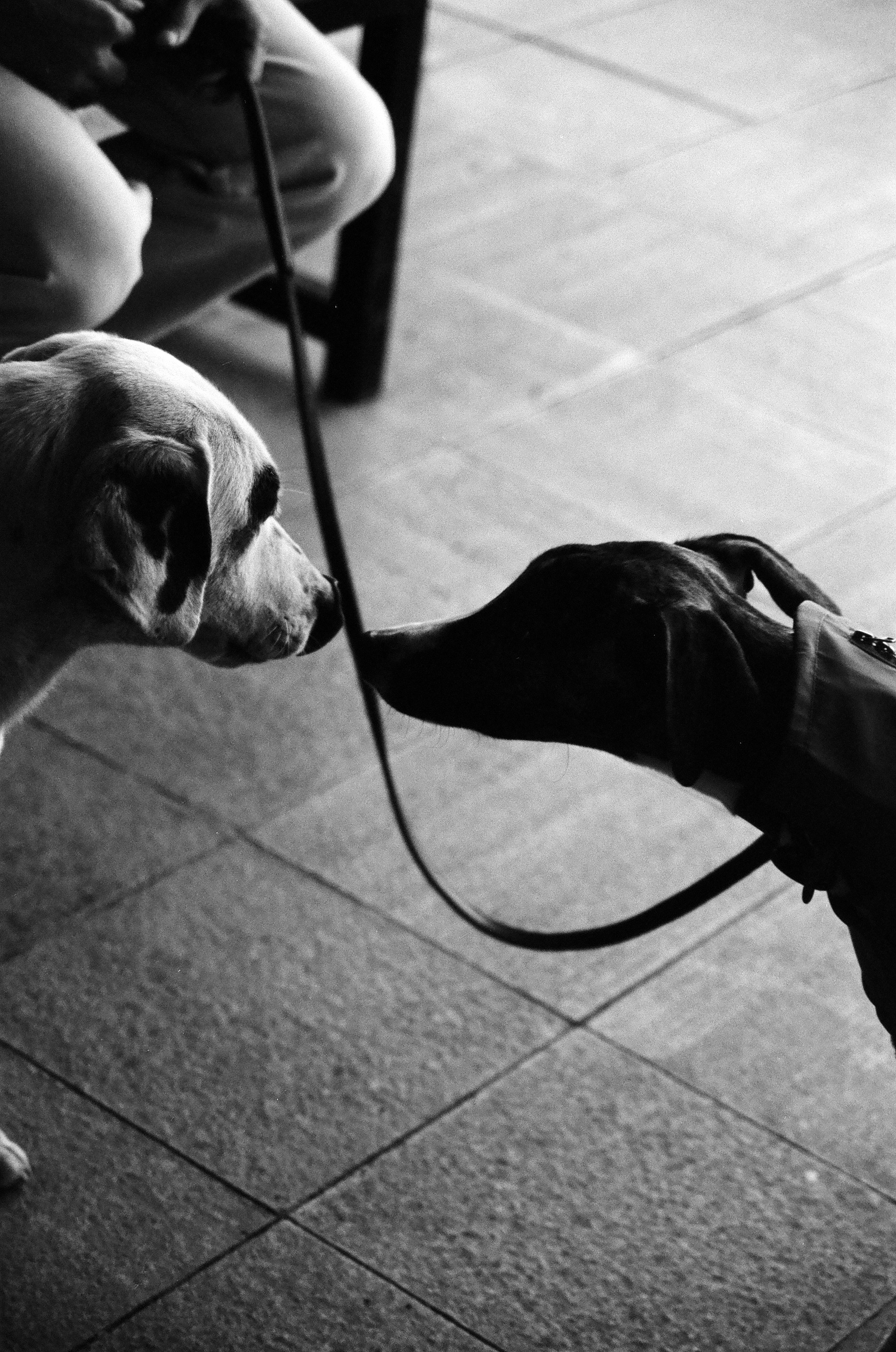 ON THE GO. Сocoobird || Атмосфера твоего бренда в снимках и видео