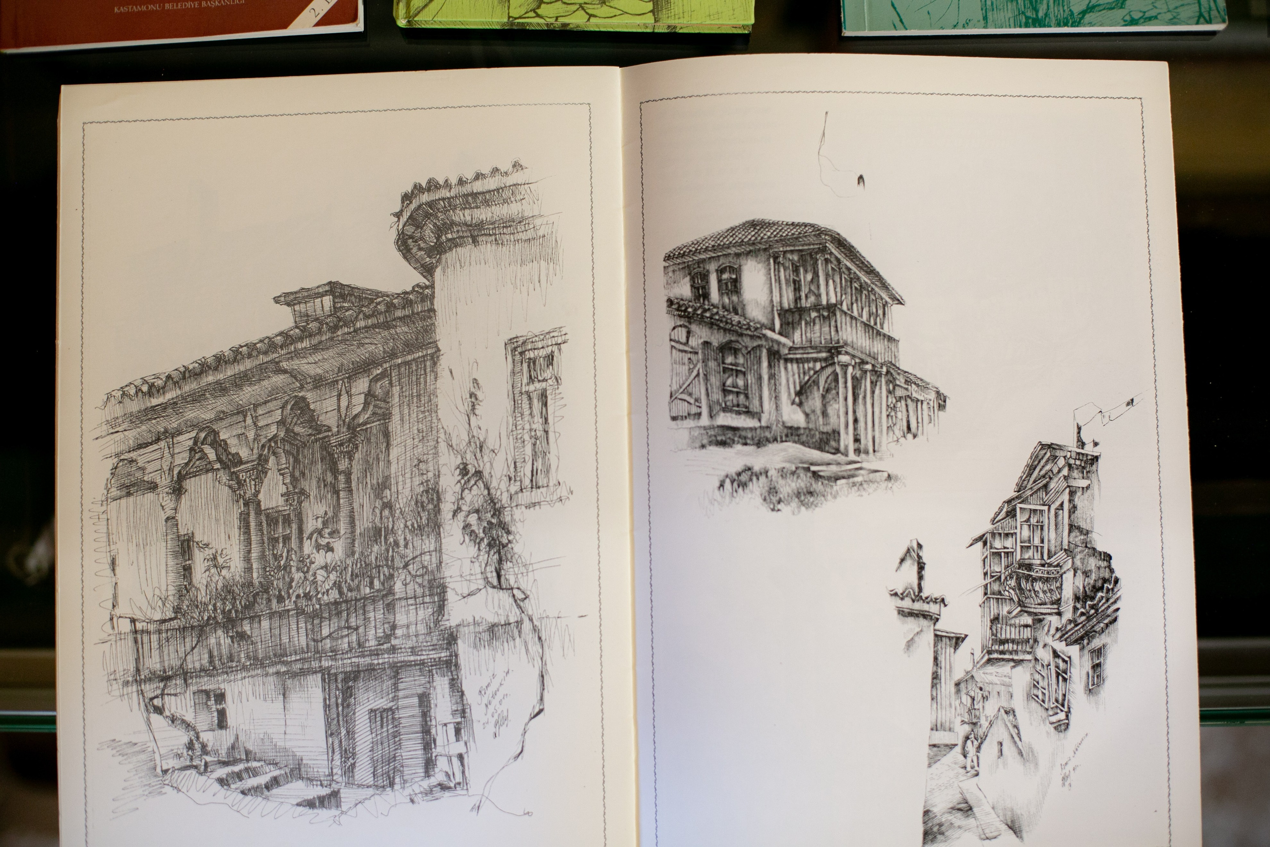 Ramiz Netovkin. Beye Shevkiyeva Photography