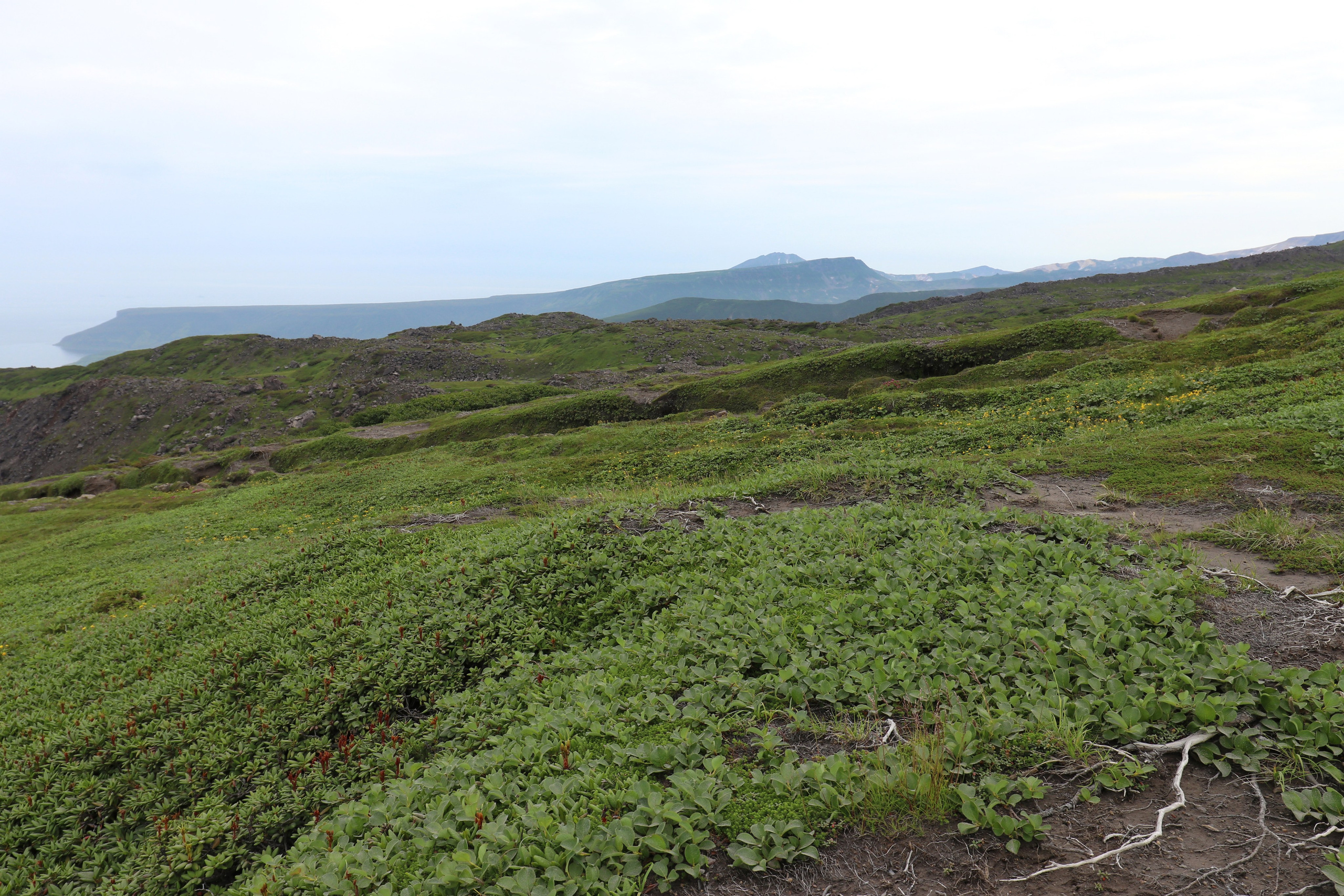 Камчатка и о. Парамушир. Июль 2024. Путешественник-фотограф из Санкт-Петербурга Татьяна Свистулина