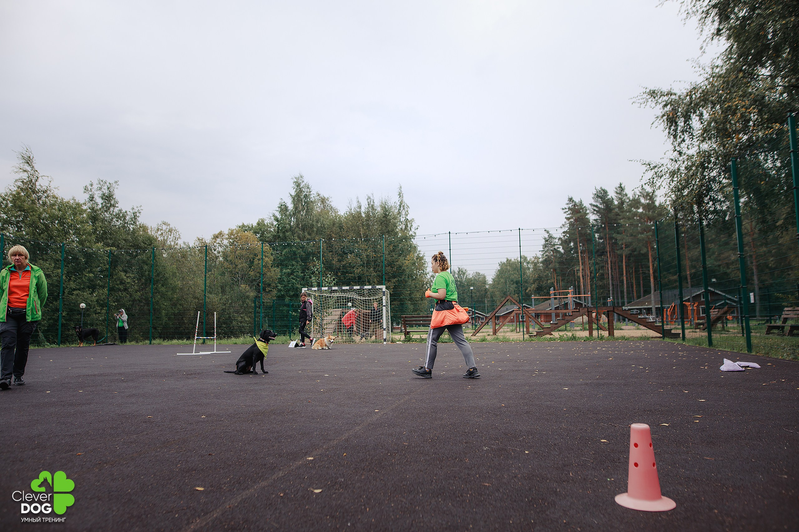 Кинологический лагерь CleverDog, 2024. Фотограф-анималист Mary Mart — Москва, Питер