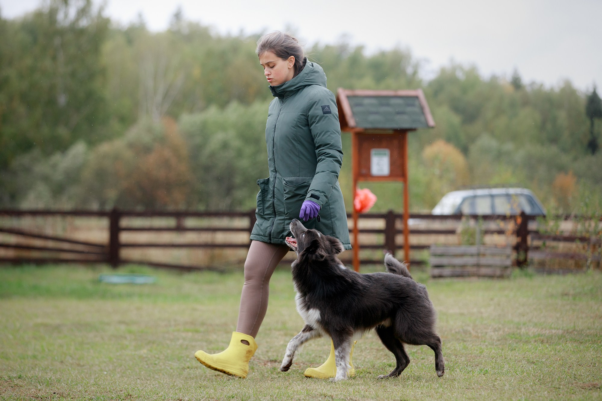 Лагерь по ОБД с Инной Баженовой. Фотограф-анималист Mary Mart — Москва, Питер