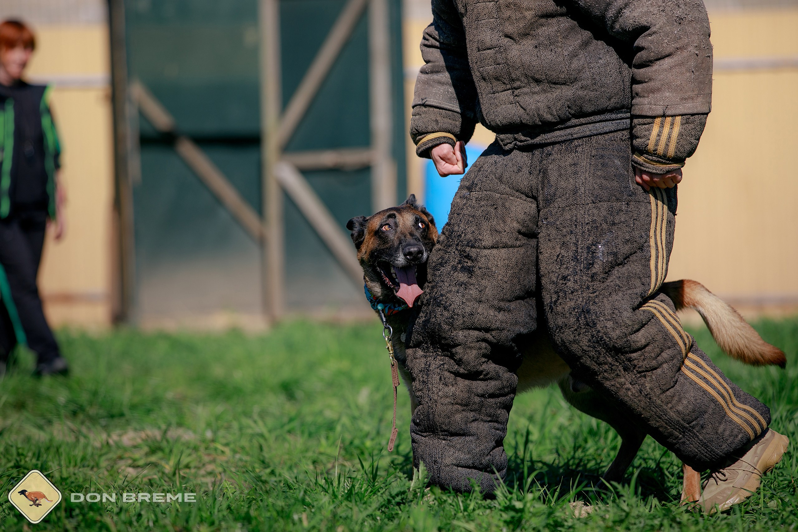 Семинар для фигурантов, день 3. Фотограф-анималист Mary Mart — Москва, Питер